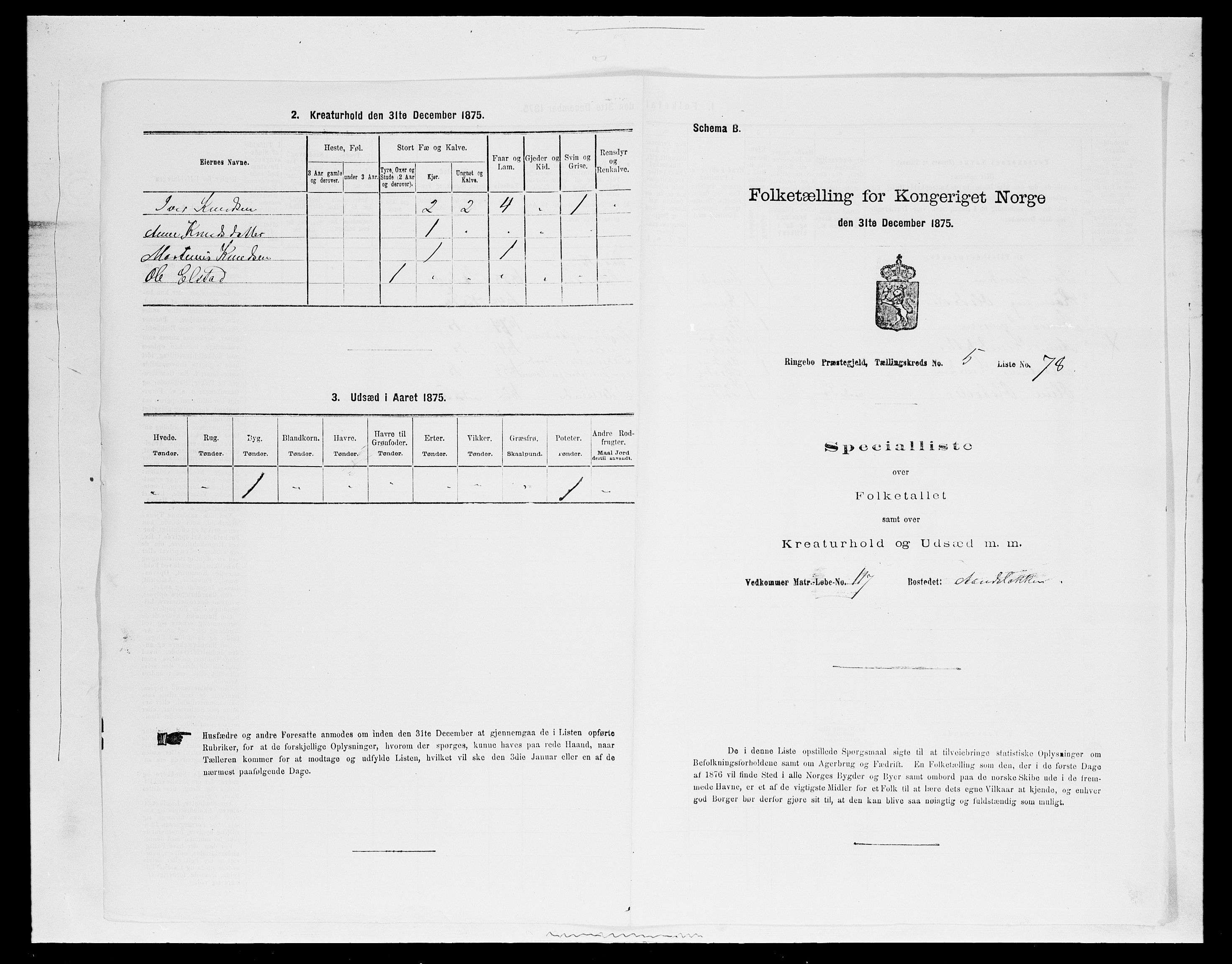 SAH, 1875 census for 0520P Ringebu, 1875, p. 831