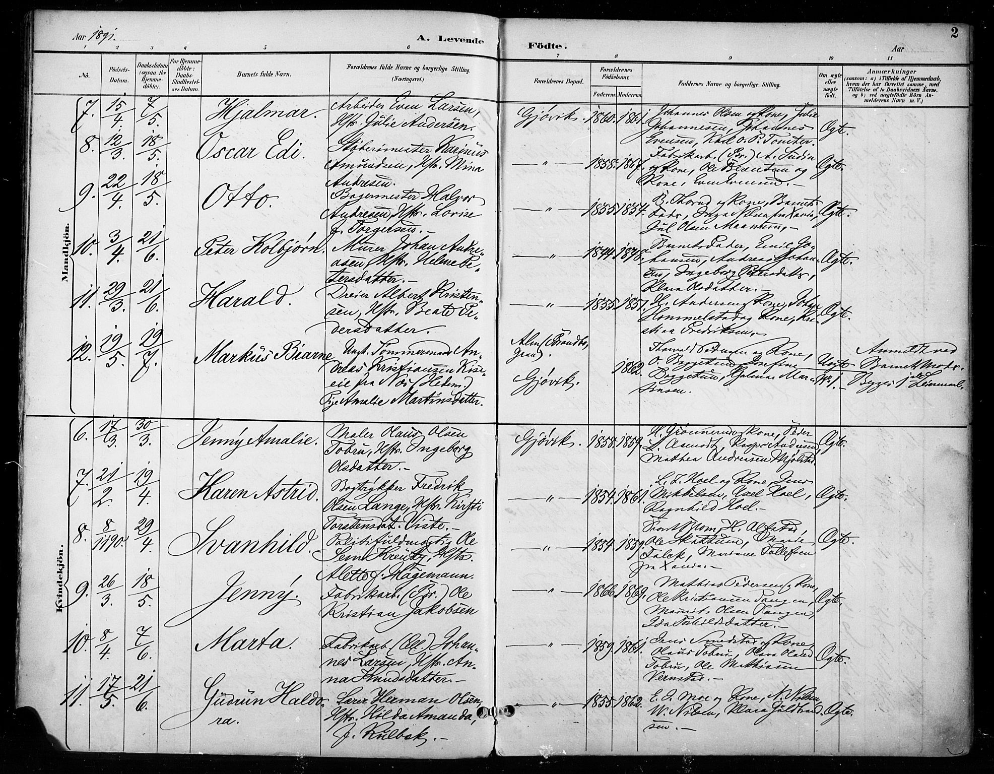 Vardal prestekontor, SAH/PREST-100/H/Ha/Haa/L0011: Parish register (official) no. 11, 1891-1901, p. 2