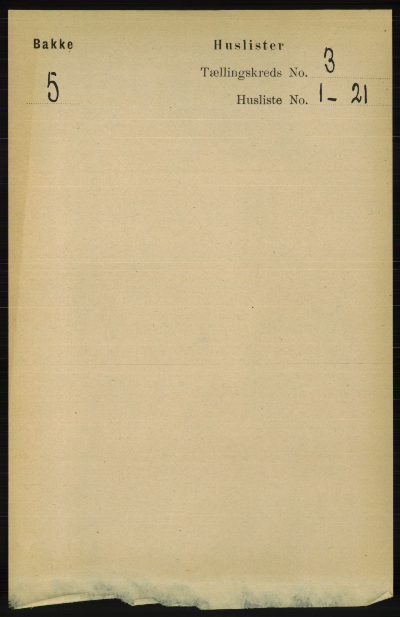 RA, 1891 census for 1045 Bakke, 1891, p. 388