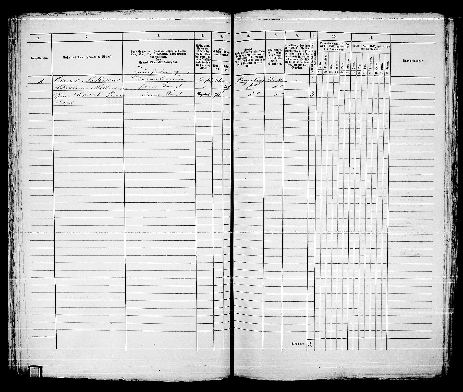 RA, 1865 census for Kongsberg/Kongsberg, 1865, p. 1233