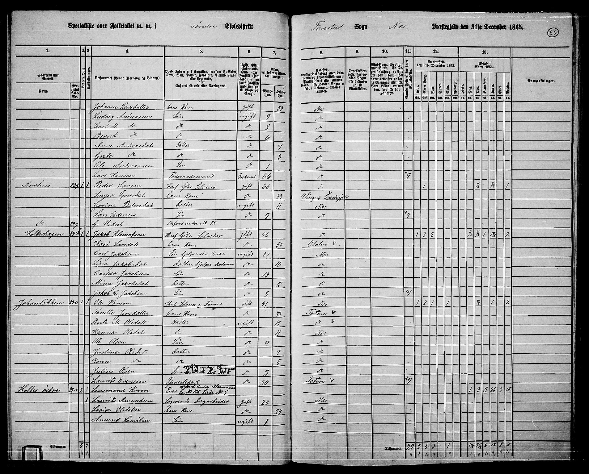 RA, 1865 census for Nes, 1865, p. 47