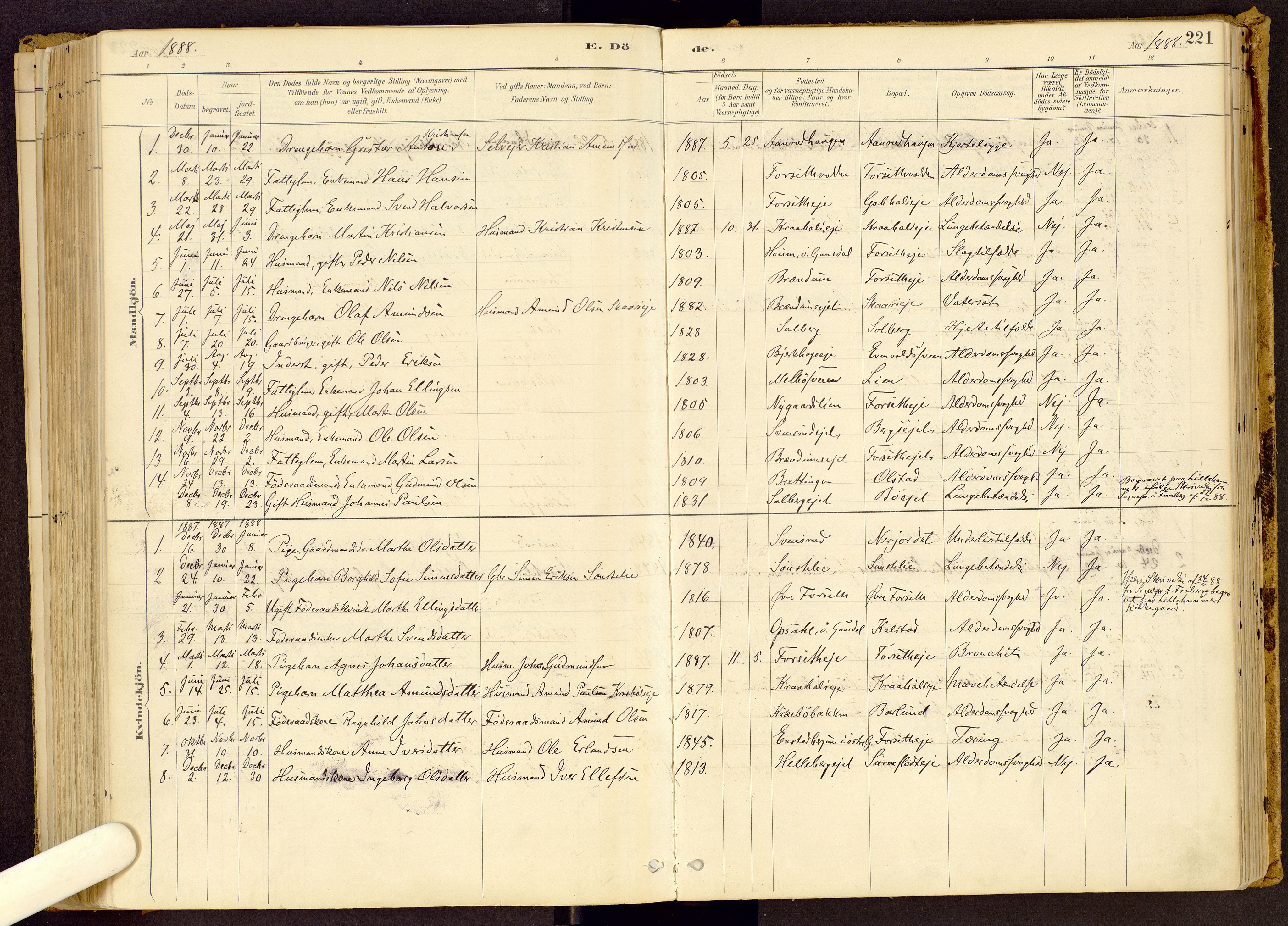 Vestre Gausdal prestekontor, SAH/PREST-094/H/Ha/Haa/L0001: Parish register (official) no. 1, 1887-1914, p. 221