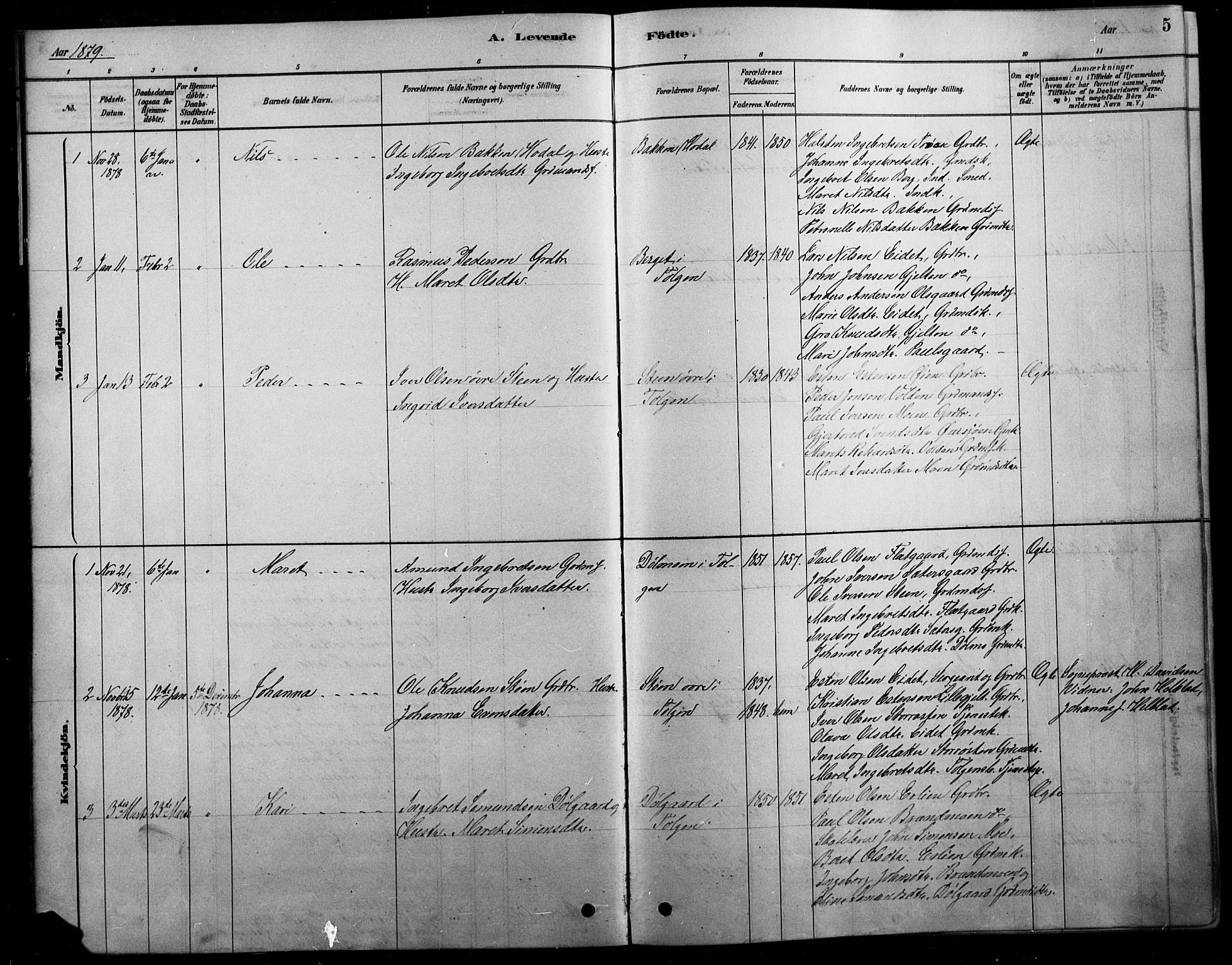 Tolga prestekontor, AV/SAH-PREST-062/L/L0007: Parish register (copy) no. 7, 1878-1919, p. 5