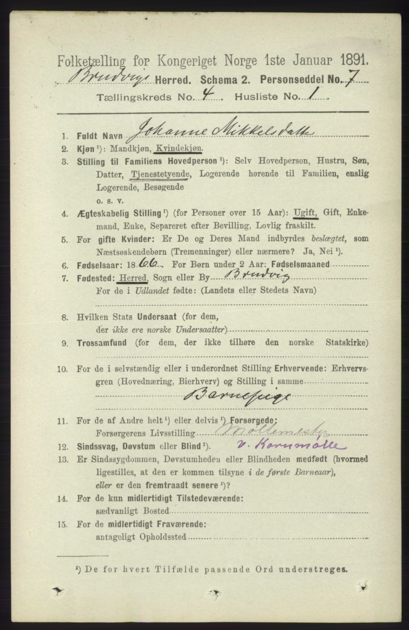 RA, 1891 census for 1251 Bruvik, 1891, p. 1008