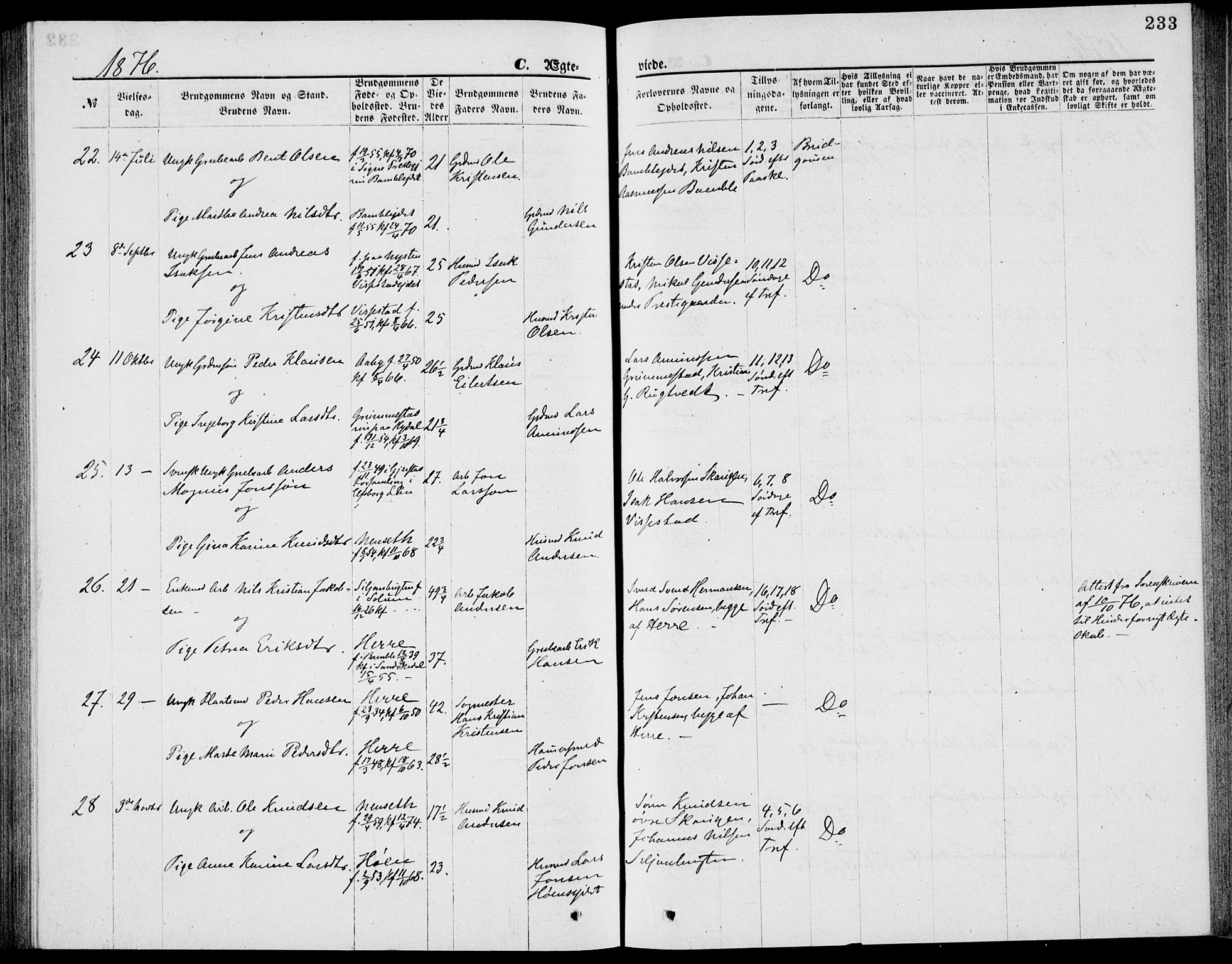 Bamble kirkebøker, SAKO/A-253/G/Ga/L0007: Parish register (copy) no. I 7, 1876-1877, p. 233