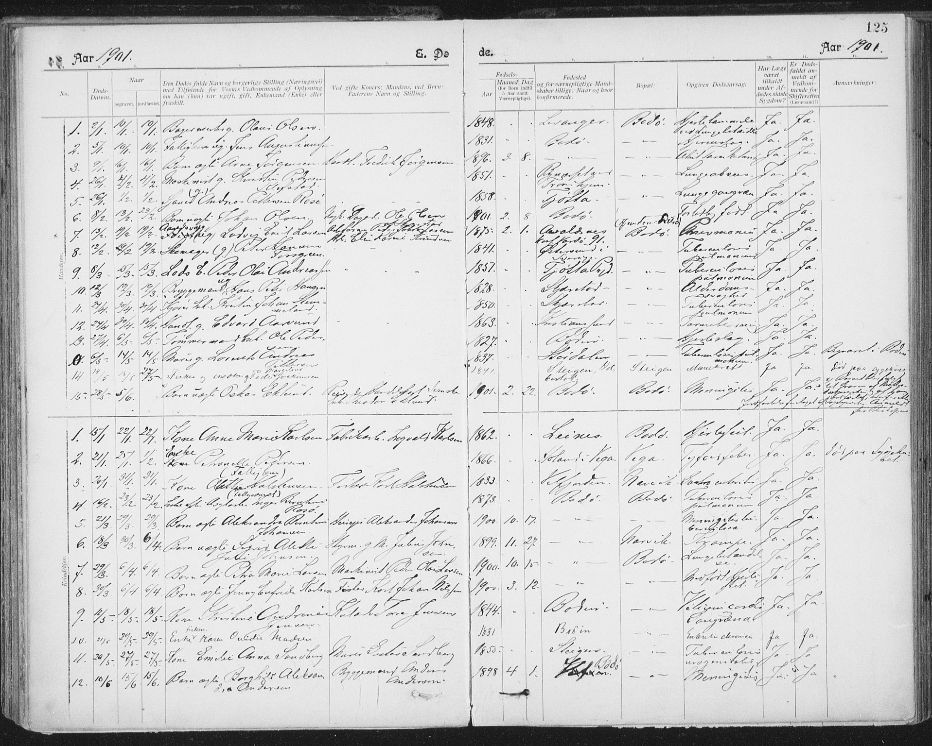 Ministerialprotokoller, klokkerbøker og fødselsregistre - Nordland, SAT/A-1459/801/L0012: Parish register (official) no. 801A12, 1900-1916, p. 125