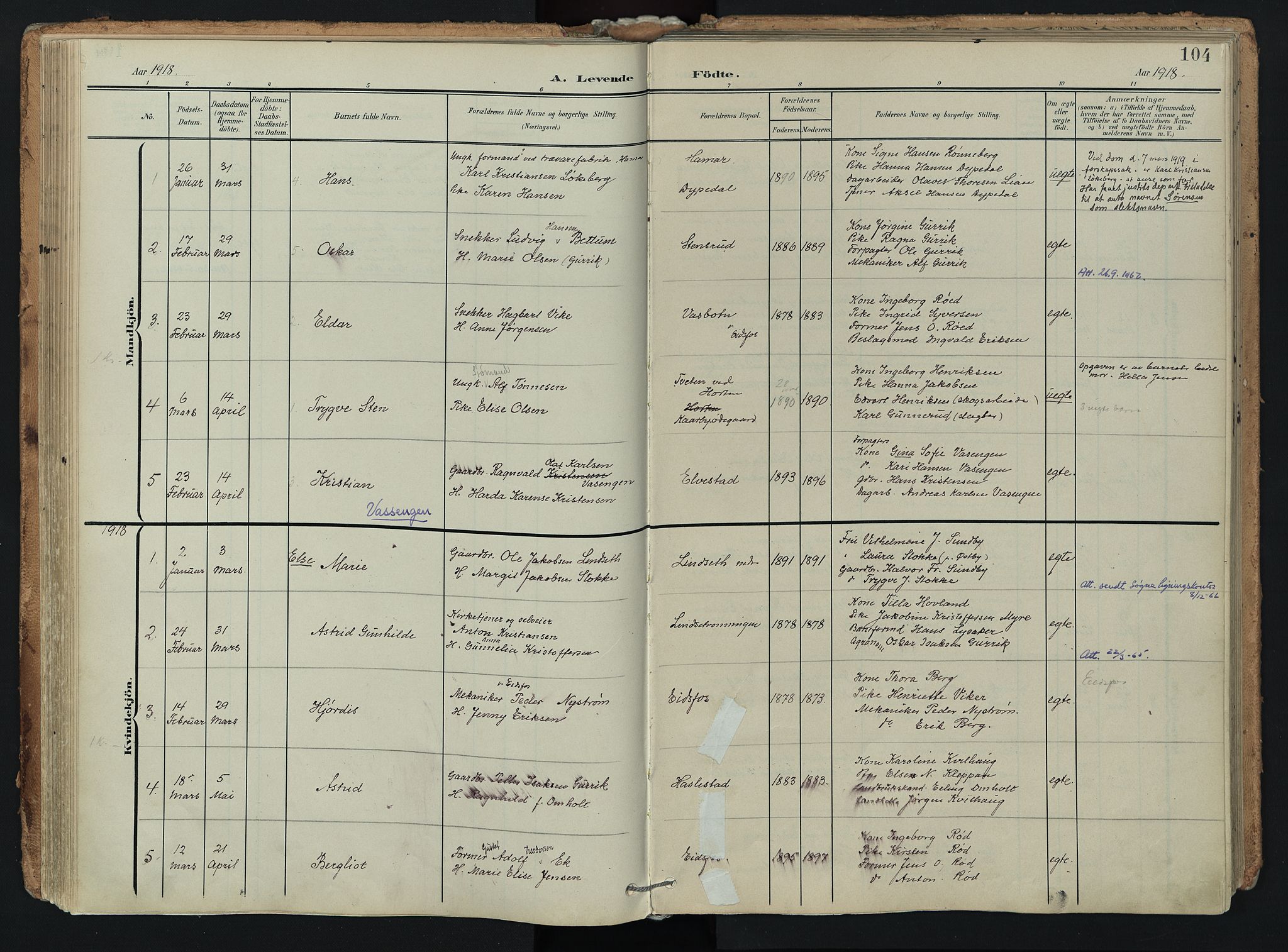 Hof kirkebøker, SAKO/A-64/F/Fa/L0008: Parish register (official) no. I 8, 1902-1921, p. 104