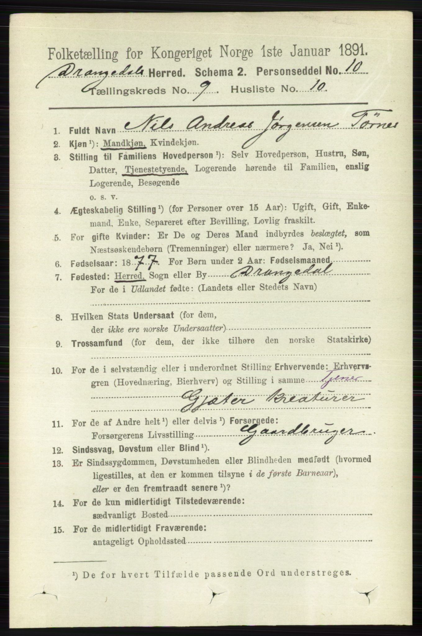 RA, 1891 census for 0817 Drangedal, 1891, p. 3187