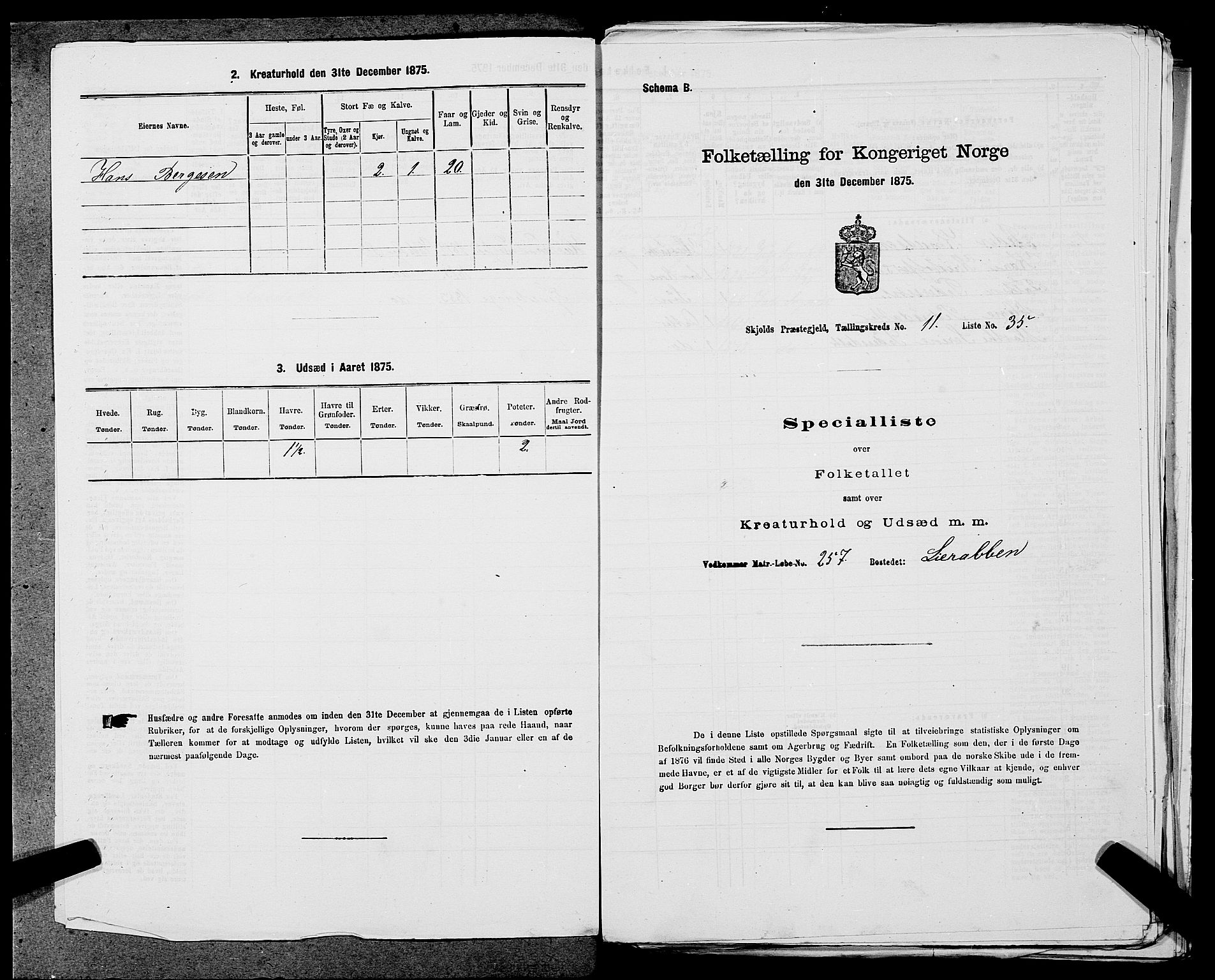 SAST, 1875 census for 1154P Skjold, 1875, p. 1176