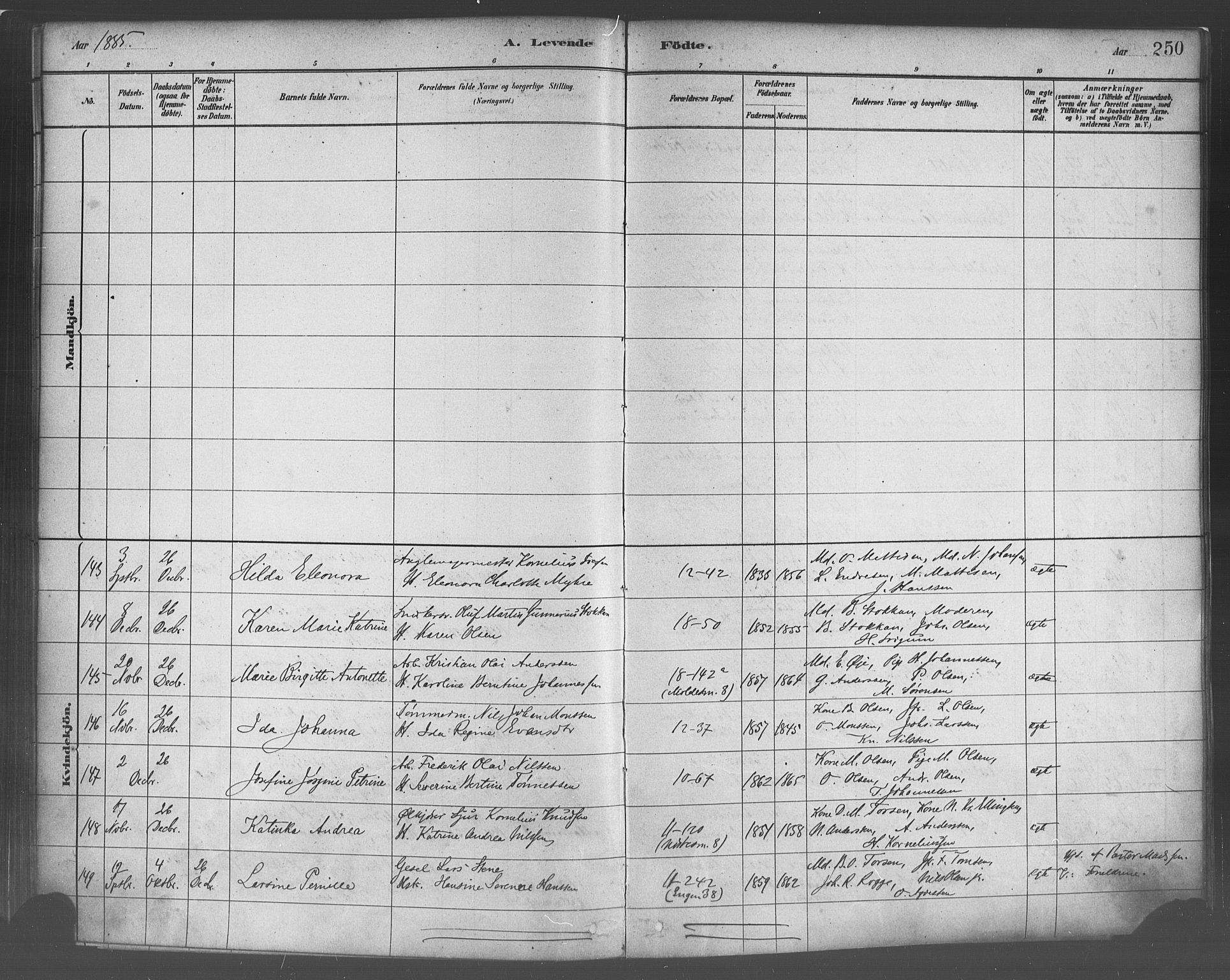 Domkirken sokneprestembete, SAB/A-74801/H/Haa/L0023: Parish register (official) no. B 6, 1879-1887, p. 250