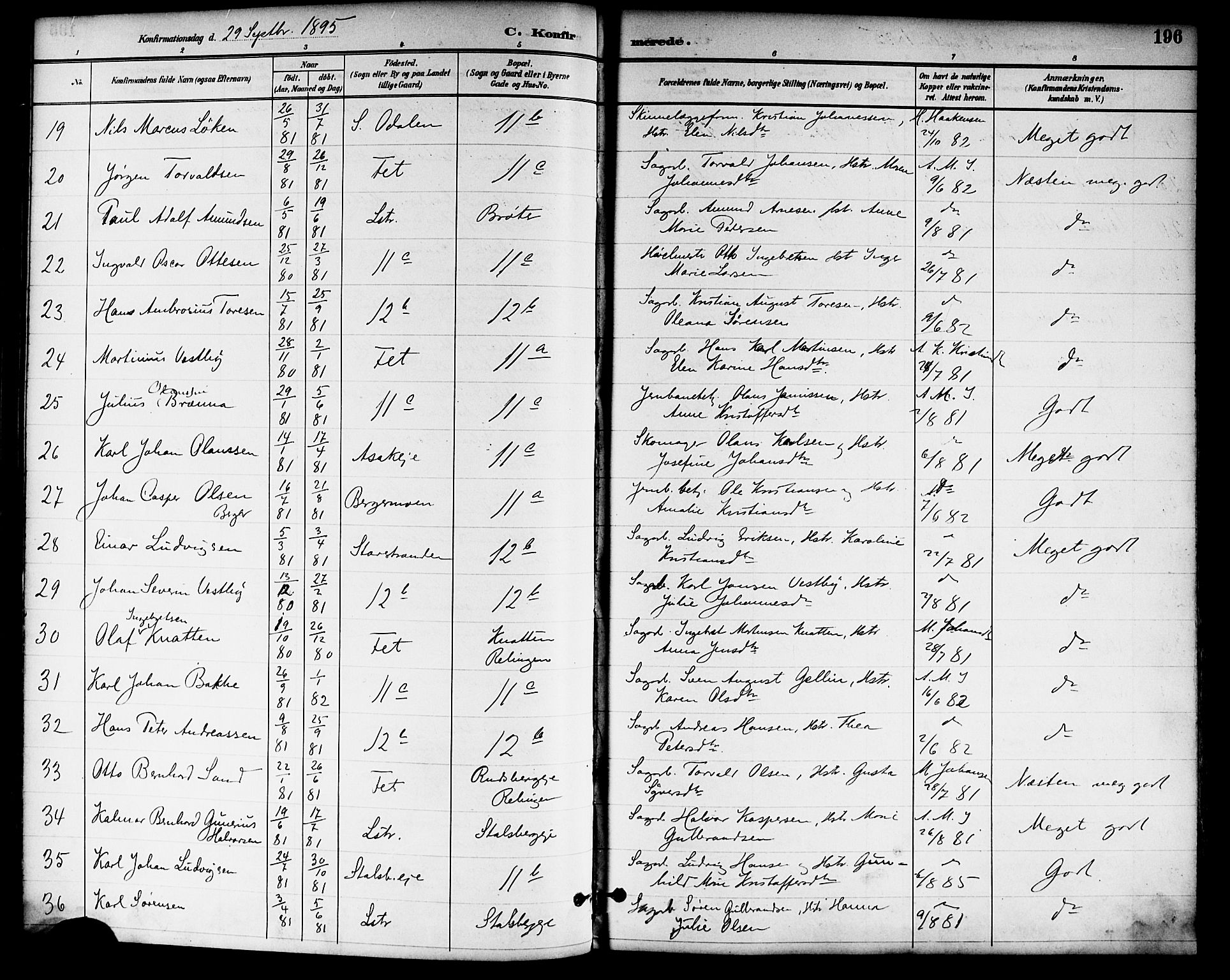 Skedsmo prestekontor Kirkebøker, SAO/A-10033a/F/Fa/L0014: Parish register (official) no. I 14, 1892-1901, p. 196