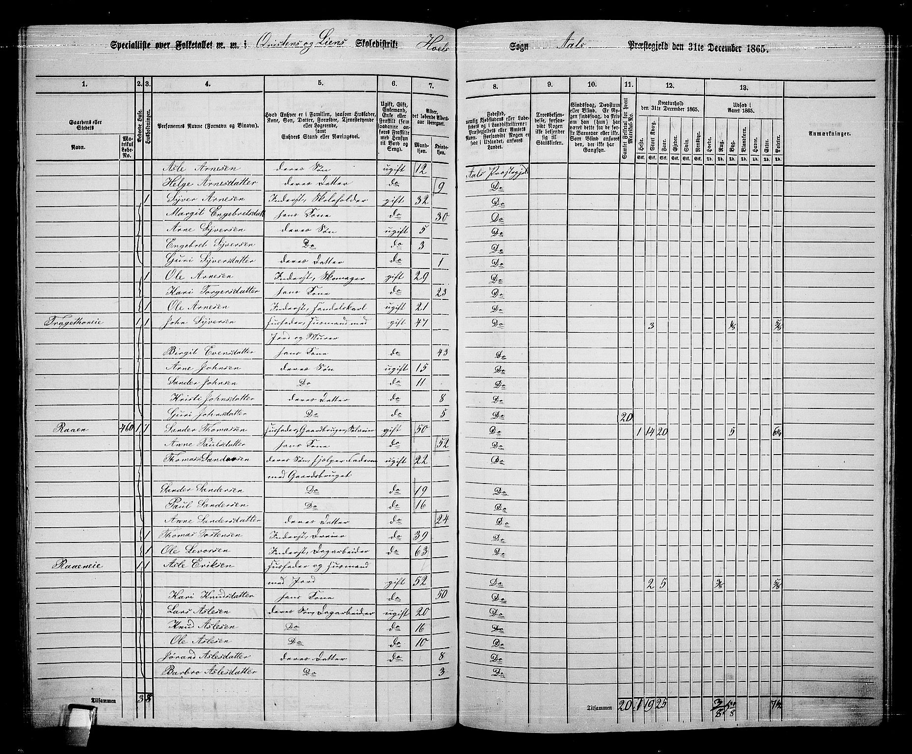 RA, 1865 census for Ål, 1865, p. 227