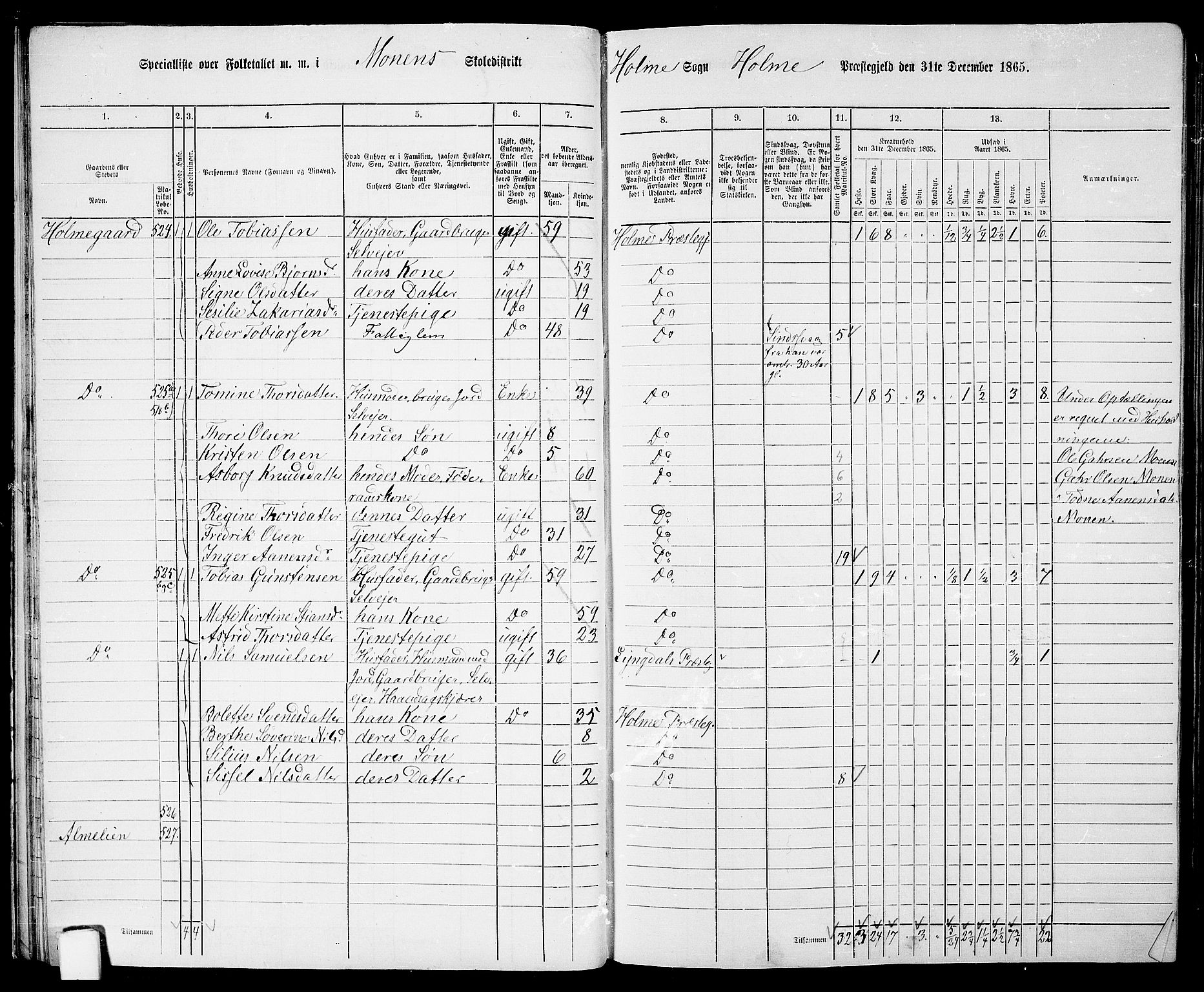 RA, 1865 census for Holum, 1865, p. 32