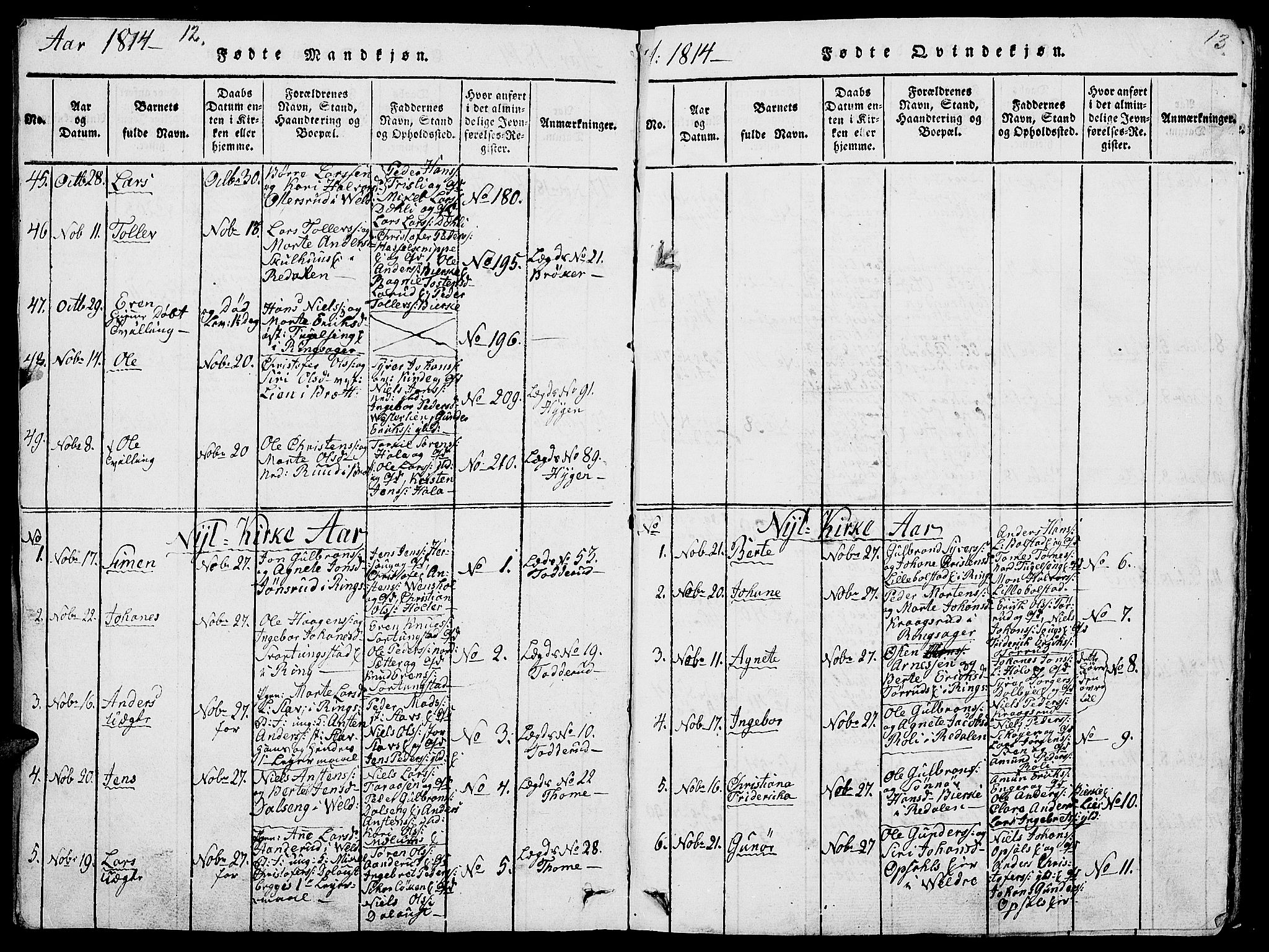 Ringsaker prestekontor, AV/SAH-PREST-014/L/La/L0001: Parish register (copy) no. 1, 1814-1826, p. 12-13