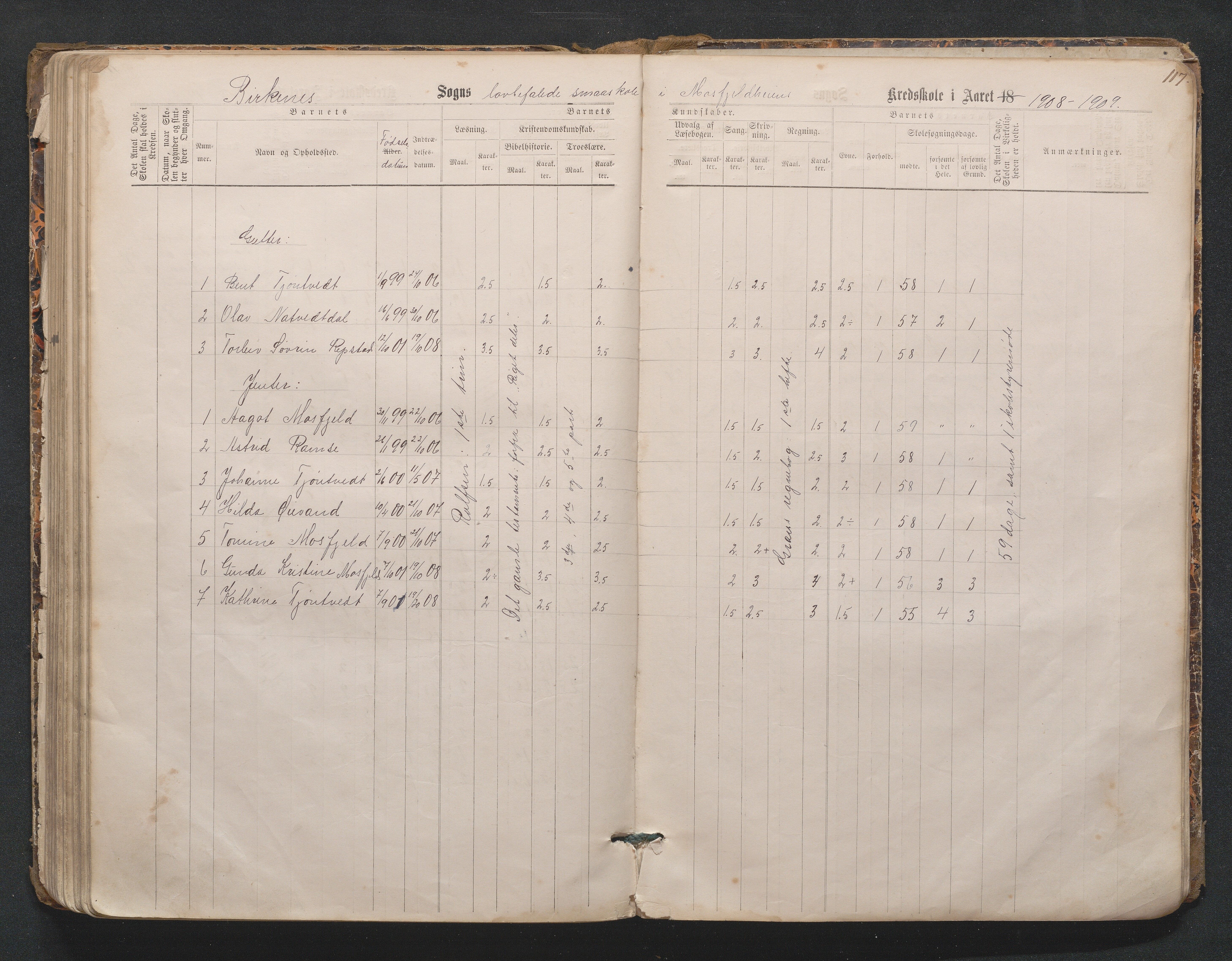 Birkenes kommune, Mosfjell skolekrets, AAKS/KA0928-550f_91/F02/L0001: Skoleprotokoll Flå og Mosfjell, 1867-1909, p. 117