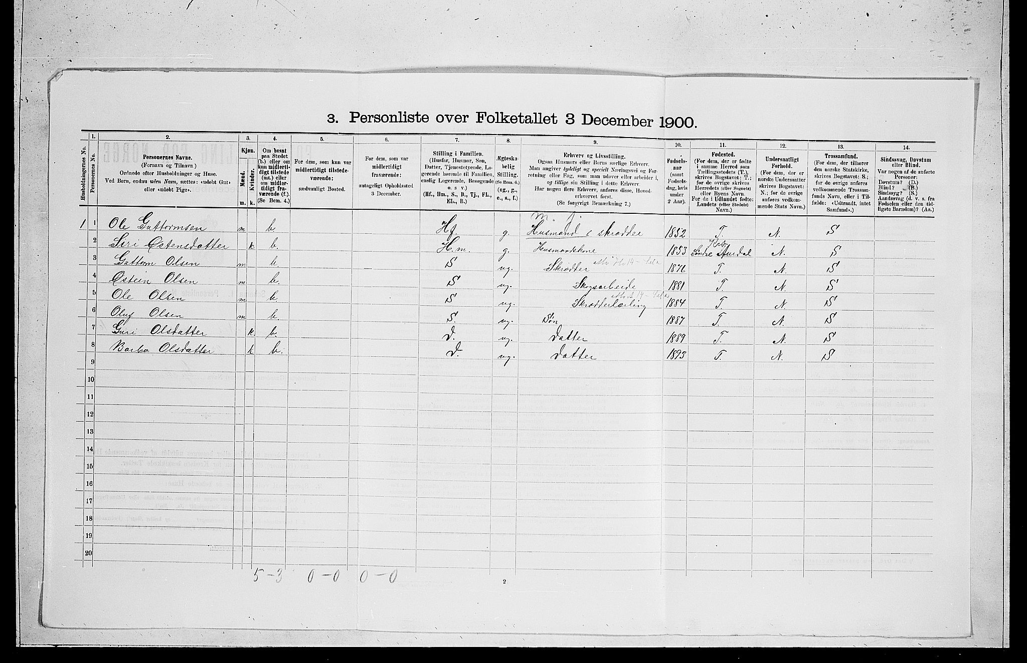 RA, 1900 census for Nes, 1900, p. 1042