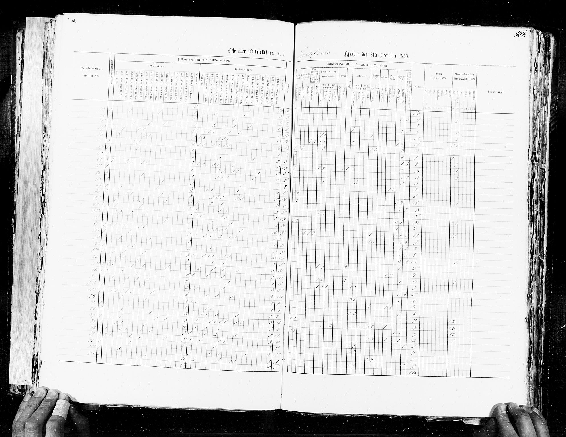 RA, Census 1855, vol. 7: Fredrikshald-Kragerø, 1855, p. 404