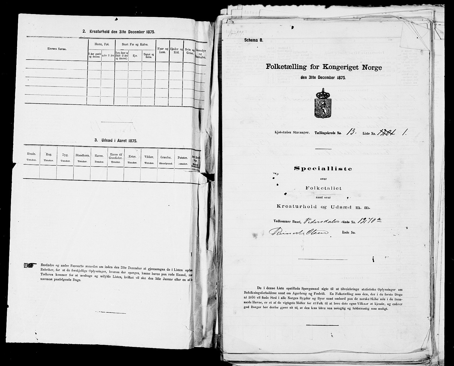 SAST, 1875 census for 1103 Stavanger, 1875, p. 2505