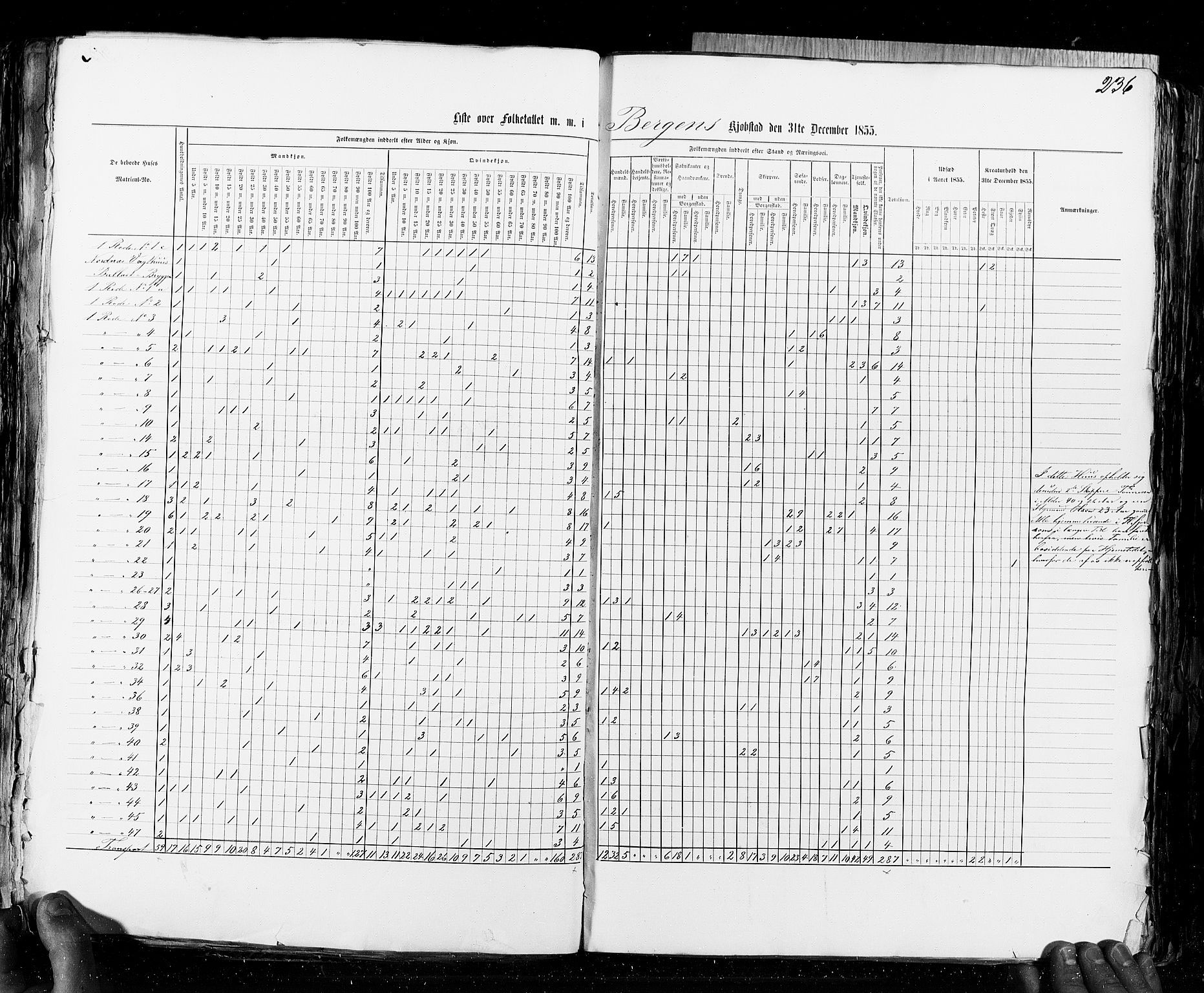 RA, Census 1855, vol. 8: Risør-Vadsø, 1855, p. 236