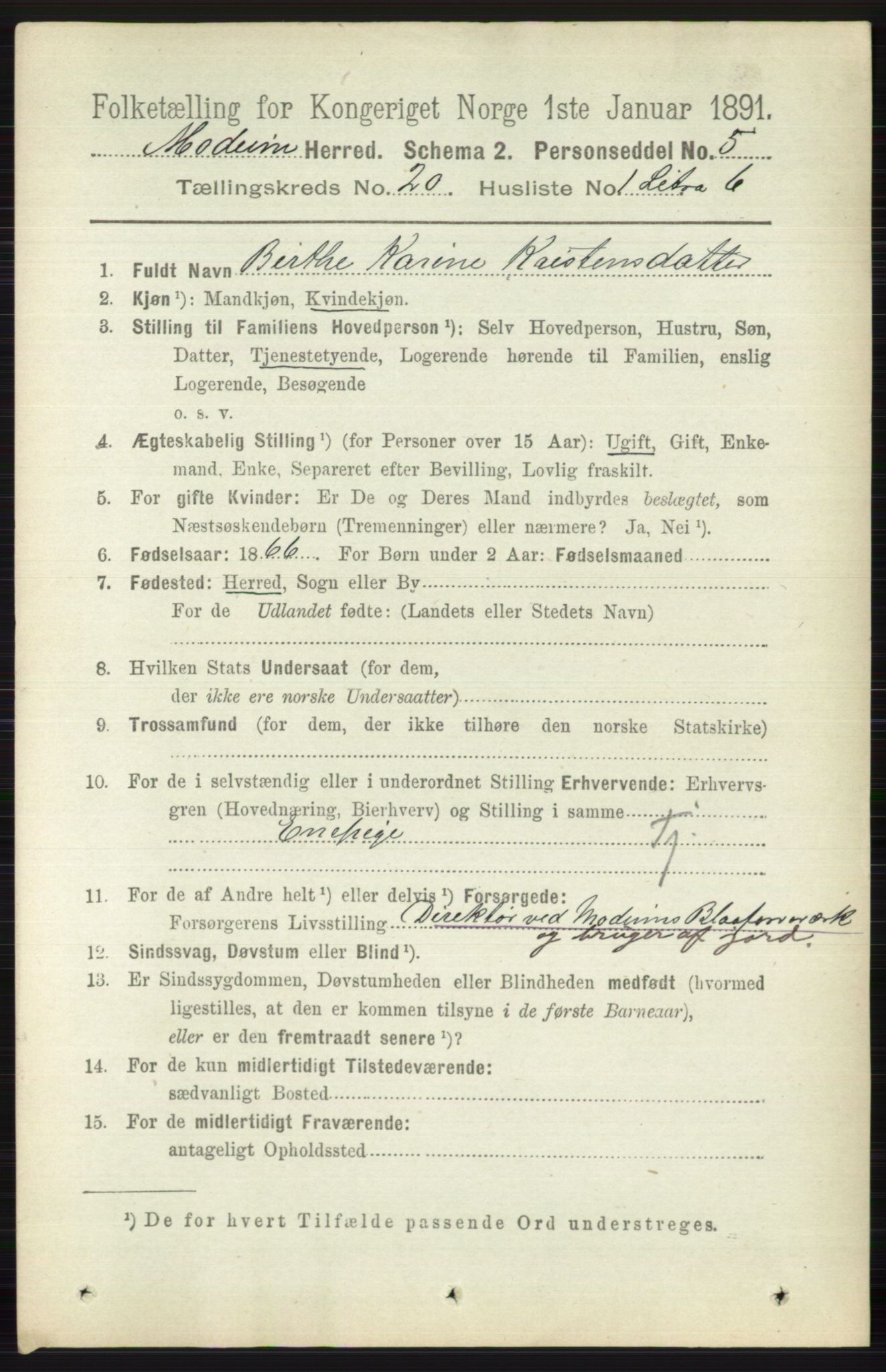 RA, 1891 census for 0623 Modum, 1891, p. 7809