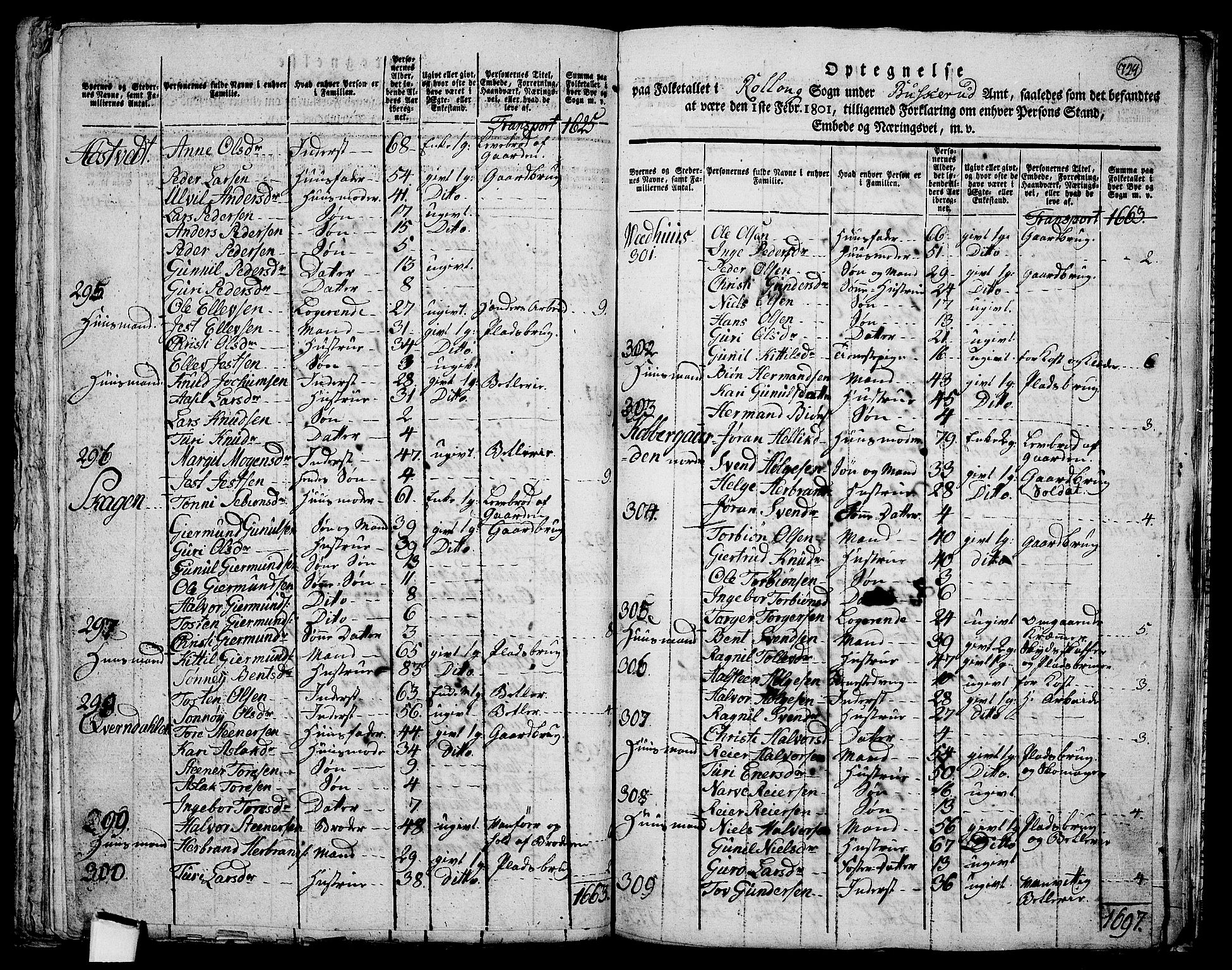 RA, 1801 census for 0632P Rollag, 1801, p. 728b-729a