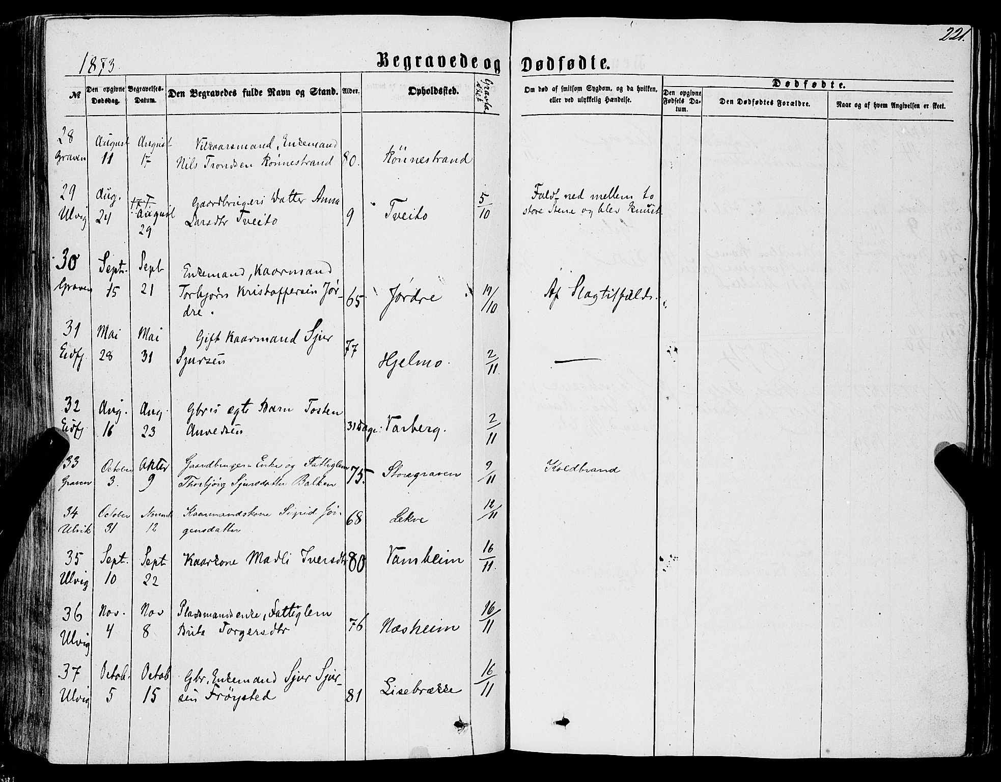 Ulvik sokneprestembete, AV/SAB-A-78801/H/Haa: Parish register (official) no. A 15, 1864-1878, p. 221