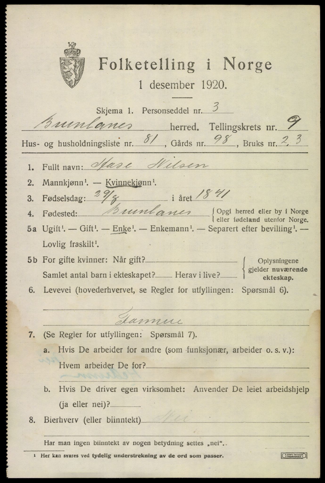 SAKO, 1920 census for Brunlanes, 1920, p. 8599