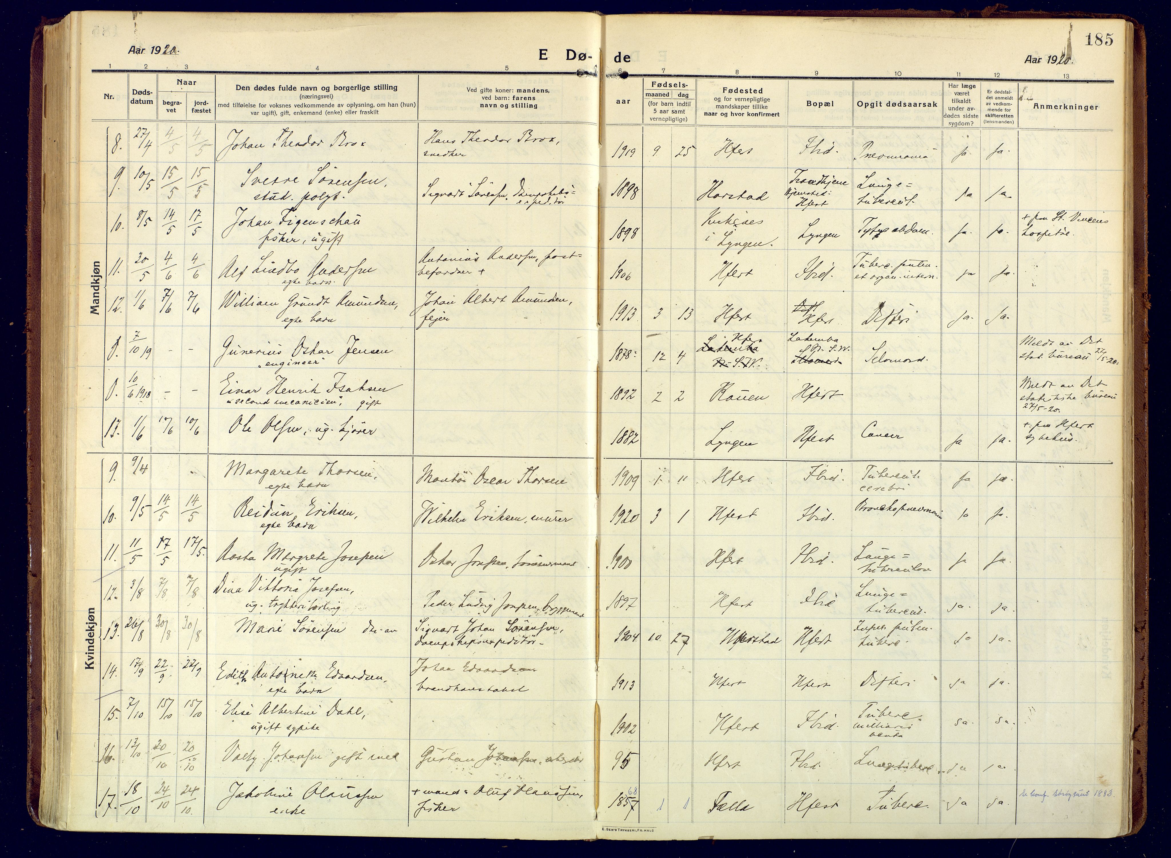 Hammerfest sokneprestkontor, SATØ/S-1347/H/Ha/L0015.kirke: Parish register (official) no. 15, 1916-1923, p. 185