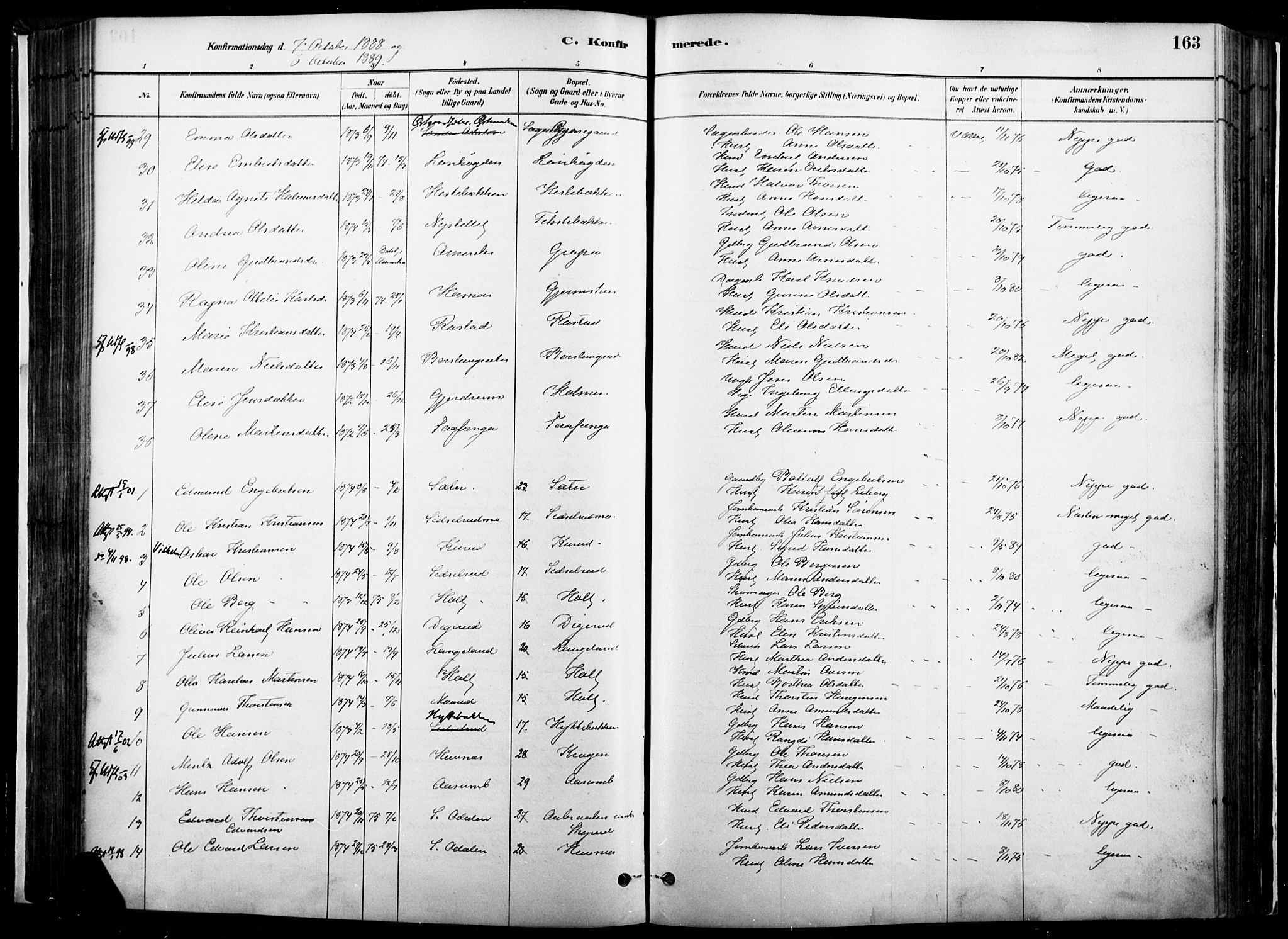 Vinger prestekontor, SAH/PREST-024/H/Ha/Haa/L0014: Parish register (official) no. 14, 1881-1900, p. 163