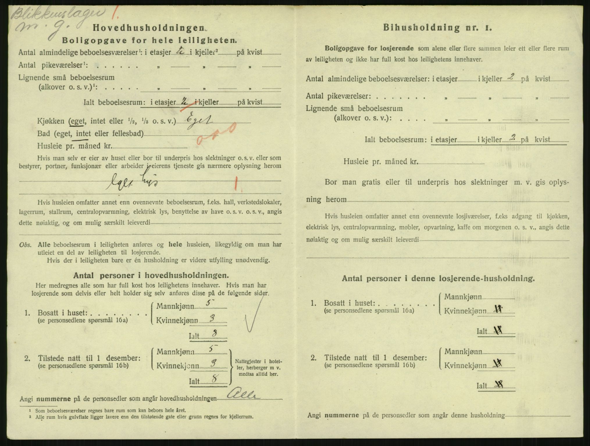 SAH, 1920 census for Lillehammer, 1920, p. 2939