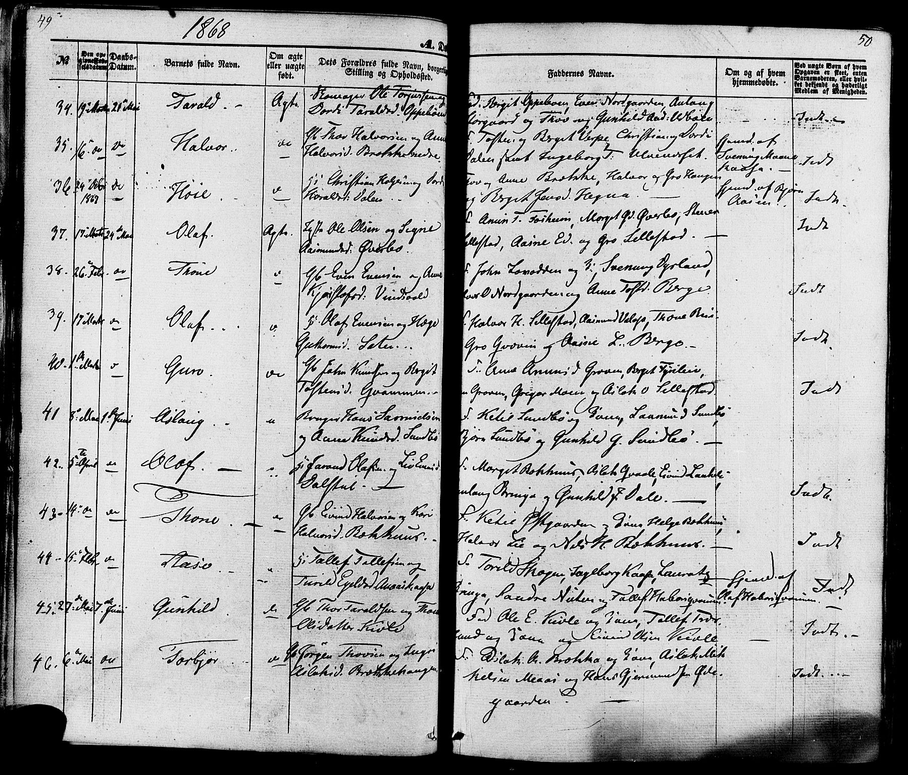 Seljord kirkebøker, AV/SAKO-A-20/F/Fa/L0013: Parish register (official) no. I 13, 1866-1876, p. 49-50