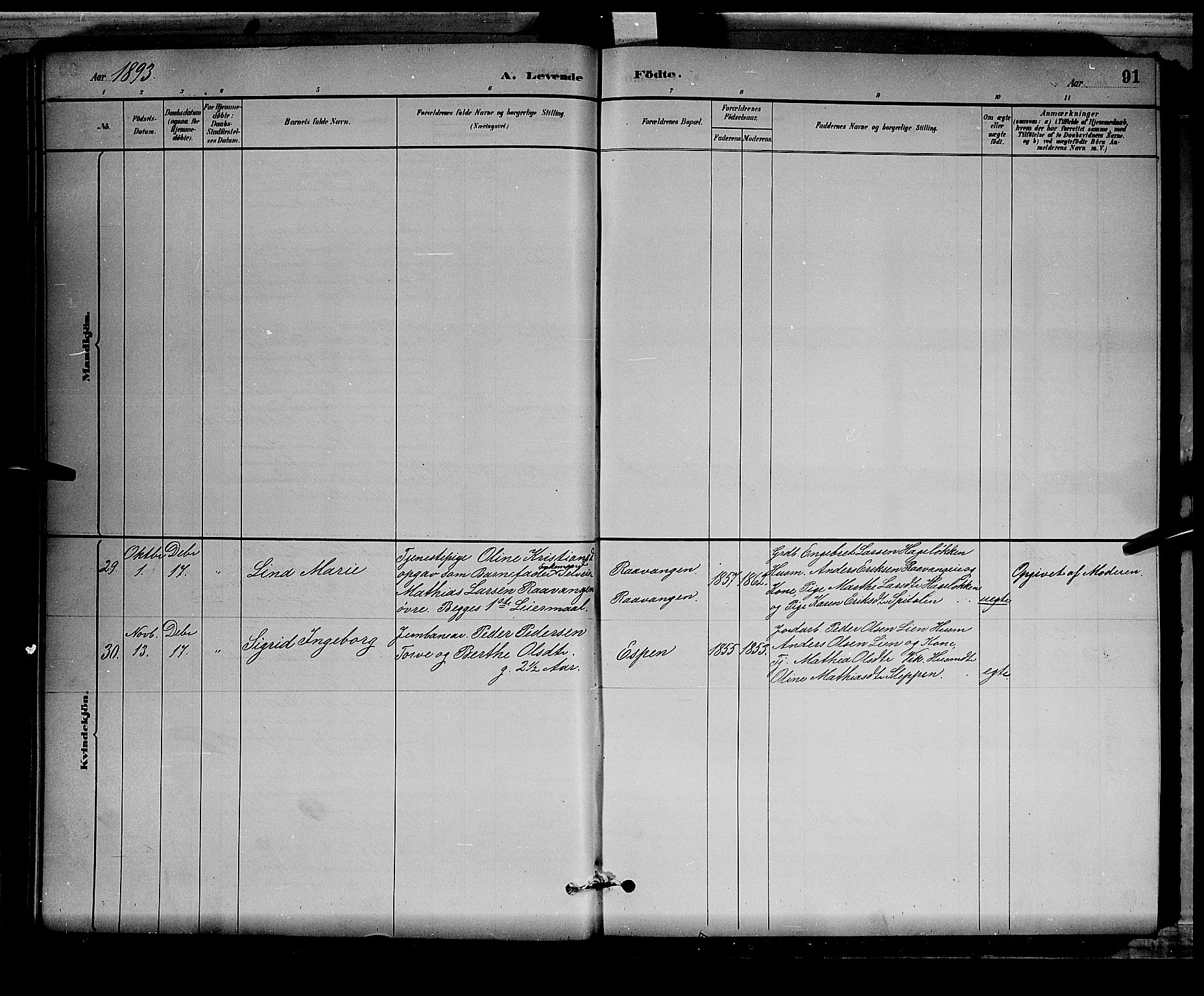 Stange prestekontor, AV/SAH-PREST-002/L/L0008: Parish register (copy) no. 8, 1882-1895, p. 91