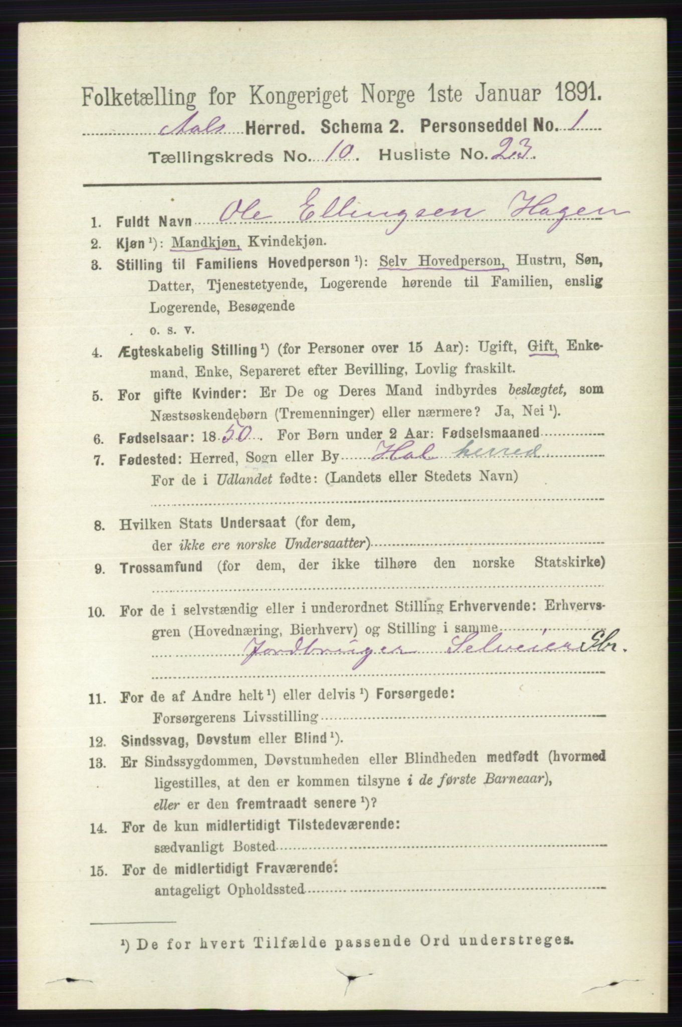 RA, 1891 census for 0619 Ål, 1891, p. 2801