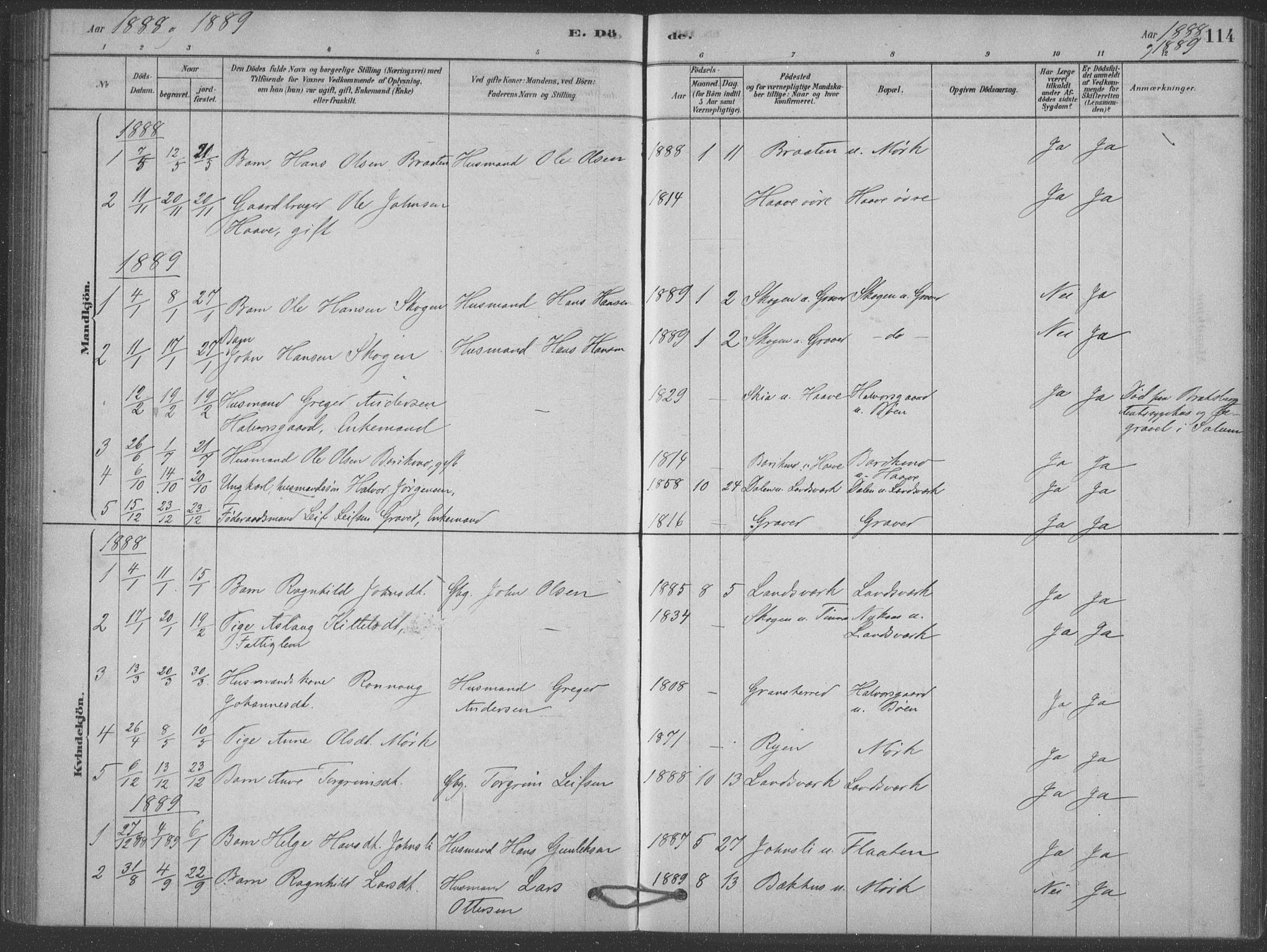 Heddal kirkebøker, SAKO/A-268/F/Fb/L0002: Parish register (official) no. II 2, 1878-1913, p. 114