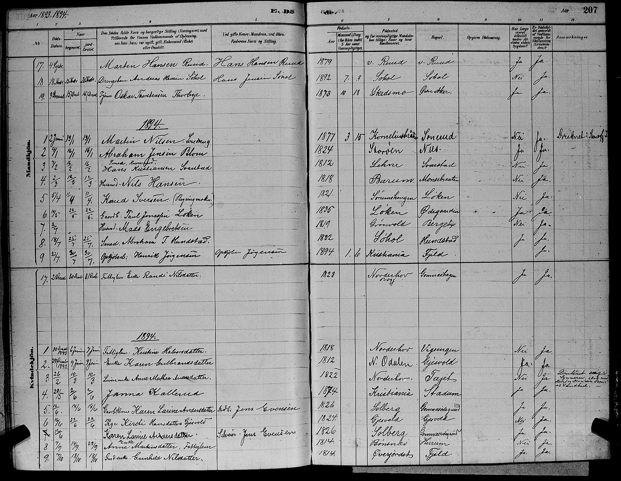 Hole kirkebøker, SAKO/A-228/G/Ga/L0003: Parish register (copy) no. I 3, 1879-1904, p. 207