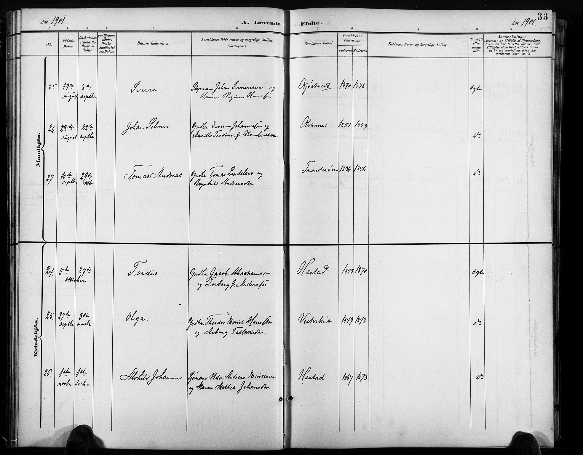 Høvåg sokneprestkontor, AV/SAK-1111-0025/F/Fb/L0005: Parish register (copy) no. B 5, 1898-1929, p. 33