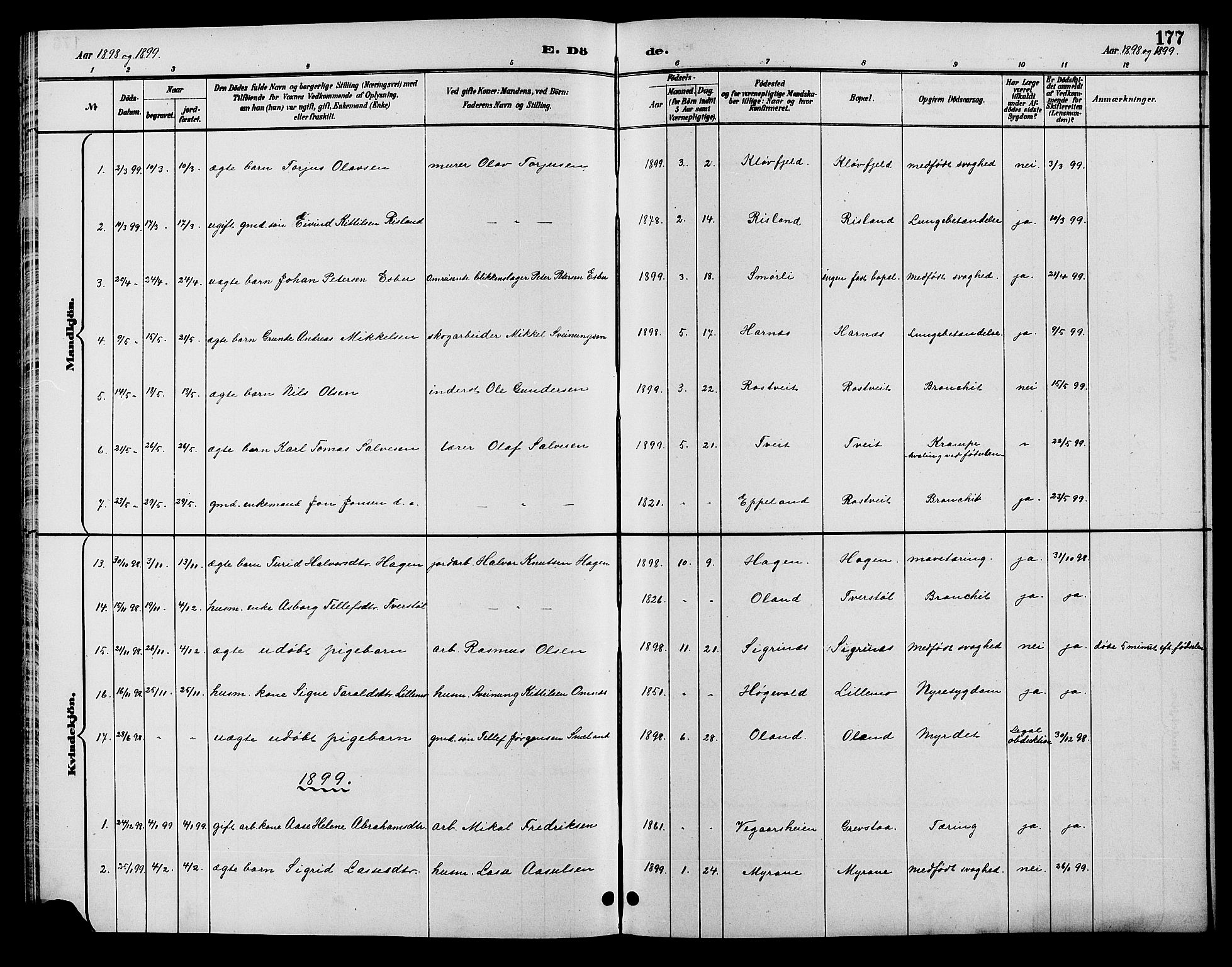 Åmli sokneprestkontor, AV/SAK-1111-0050/F/Fb/Fbc/L0004: Parish register (copy) no. B 4, 1889-1902, p. 177