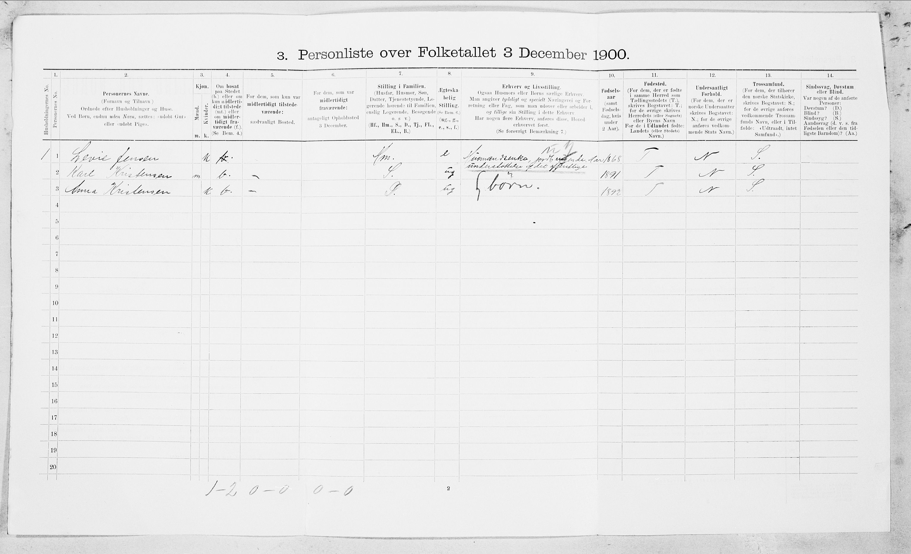 SAT, 1900 census for Bodin, 1900, p. 1073