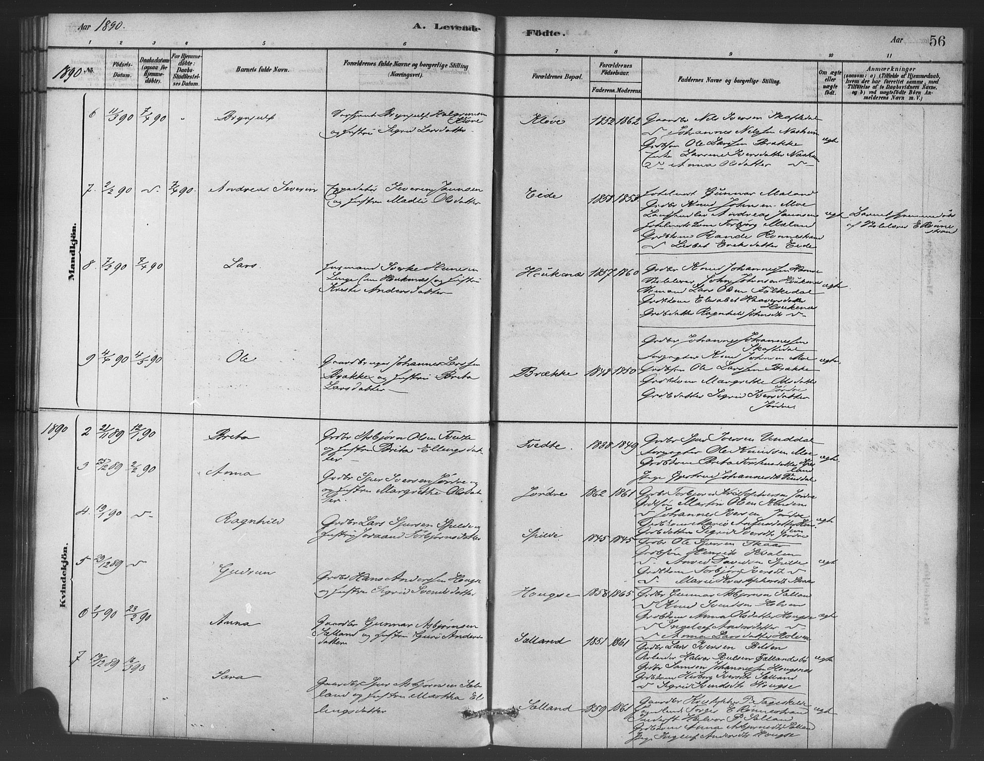 Ulvik sokneprestembete, SAB/A-78801/H/Haa: Parish register (official) no. C 1, 1878-1903, p. 56