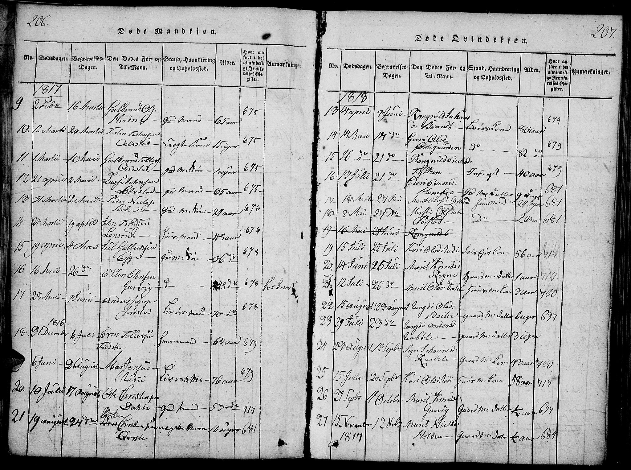 Slidre prestekontor, SAH/PREST-134/H/Ha/Haa/L0002: Parish register (official) no. 2, 1814-1830, p. 206-207