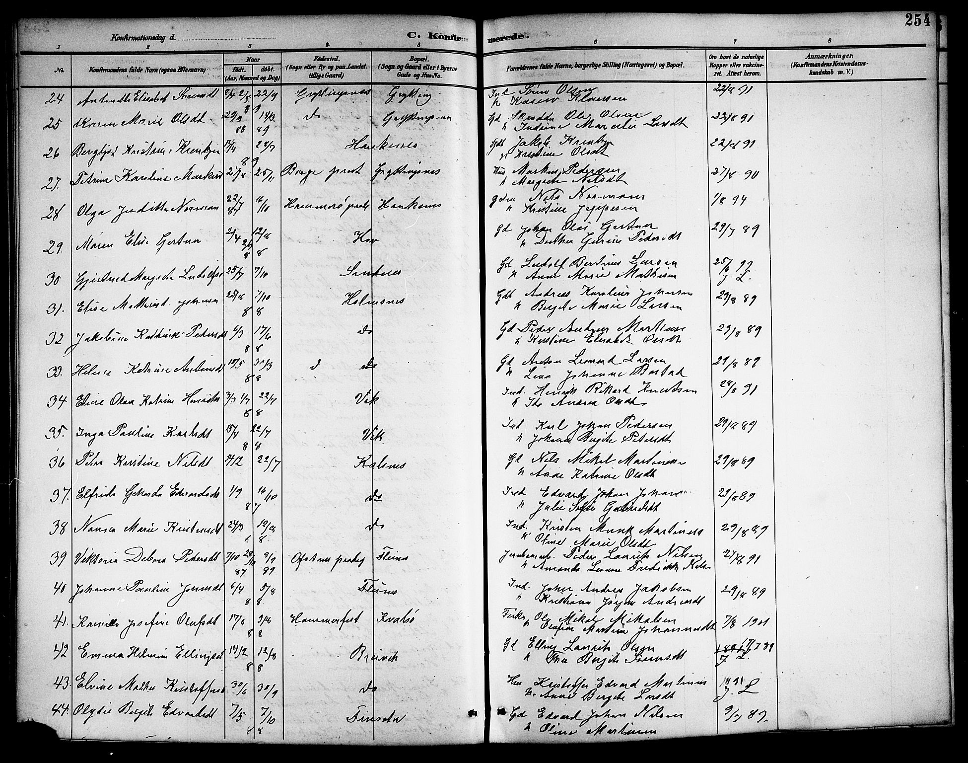 Ministerialprotokoller, klokkerbøker og fødselsregistre - Nordland, AV/SAT-A-1459/888/L1268: Parish register (copy) no. 888C06, 1891-1908, p. 254