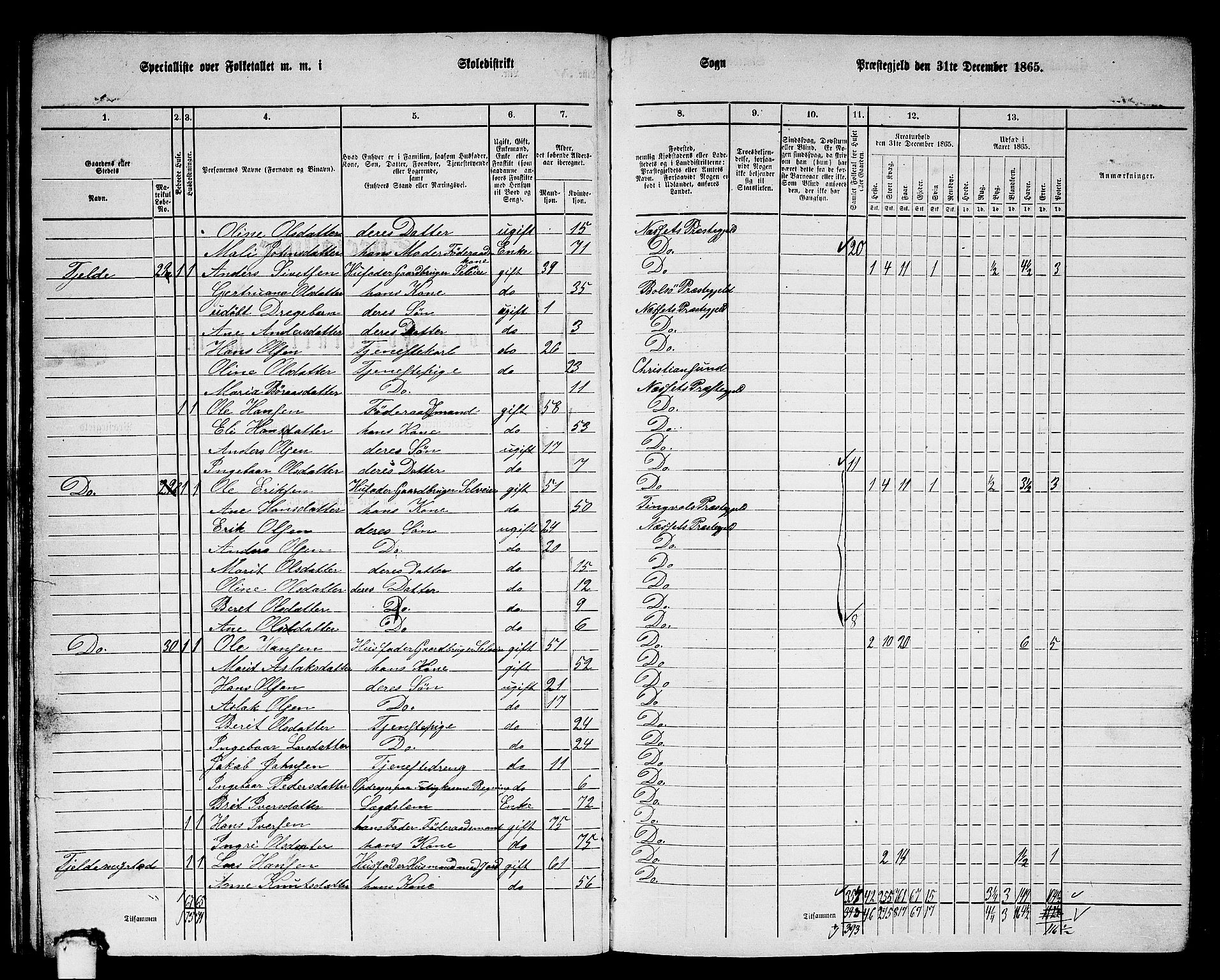 RA, 1865 census for Nesset, 1865, p. 25