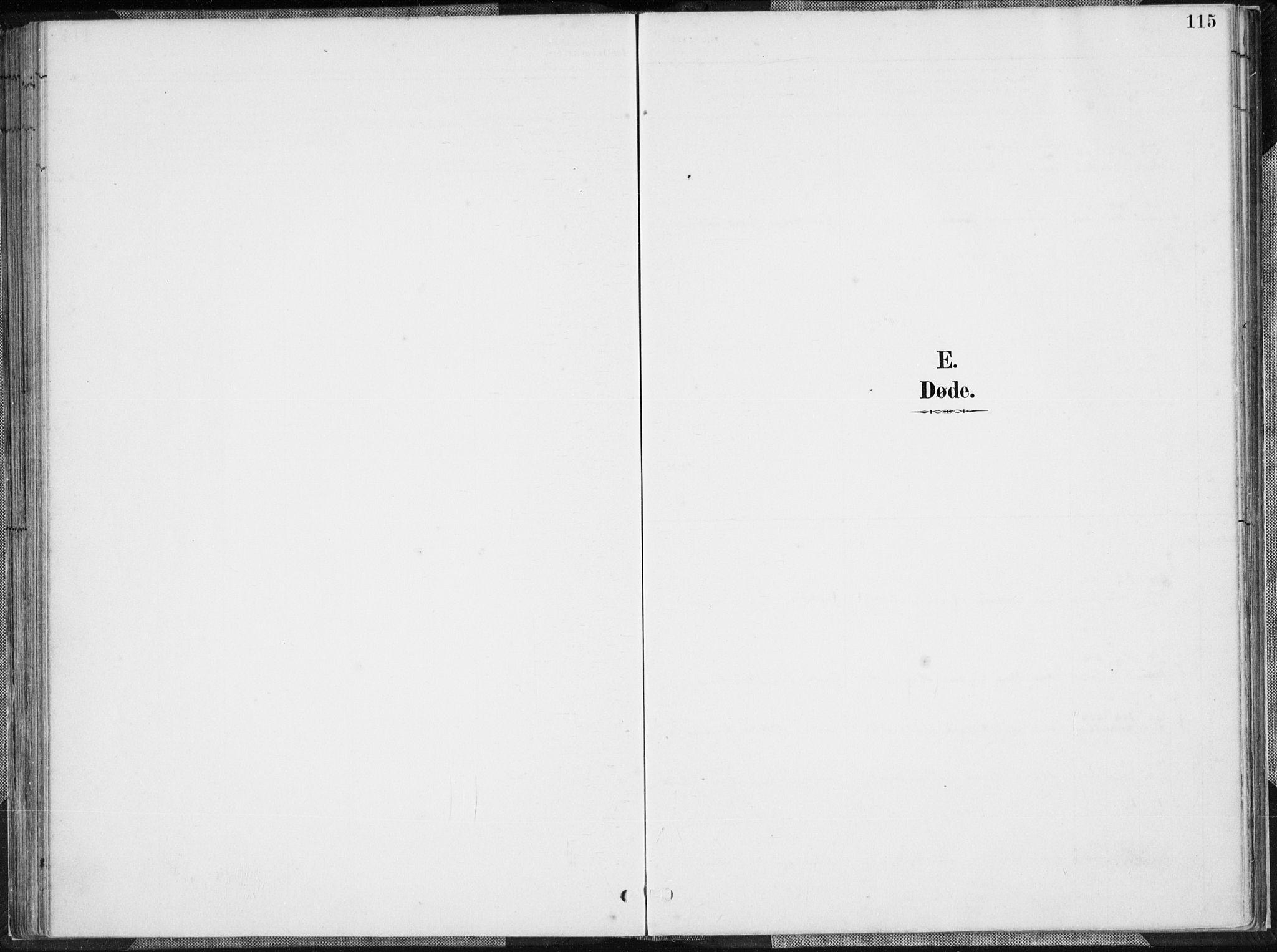 Herad sokneprestkontor, AV/SAK-1111-0018/F/Fa/Faa/L0006: Parish register (official) no. A 6, 1887-1907, p. 115