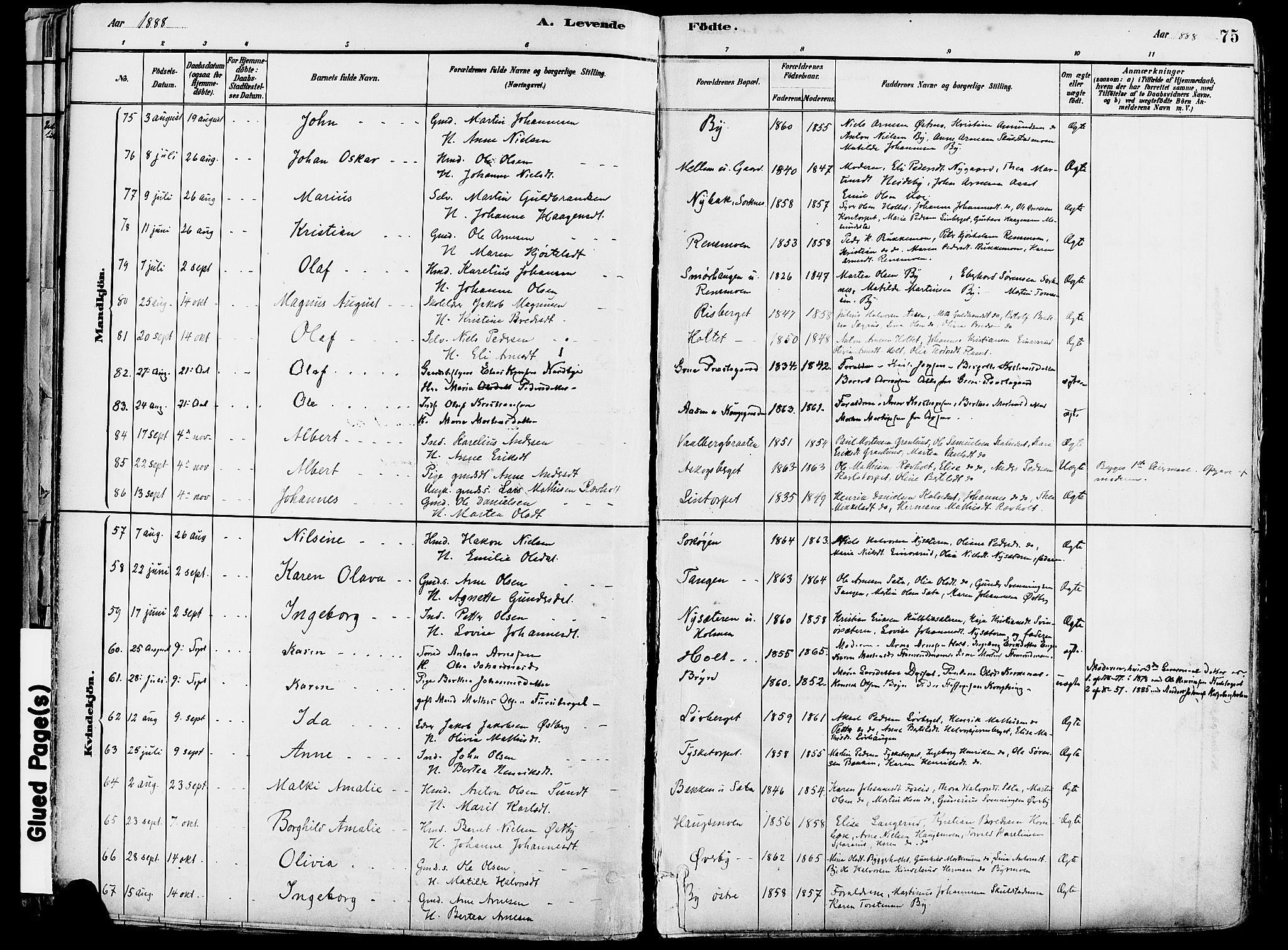 Grue prestekontor, AV/SAH-PREST-036/H/Ha/Haa/L0012: Parish register (official) no. 12, 1881-1897, p. 75