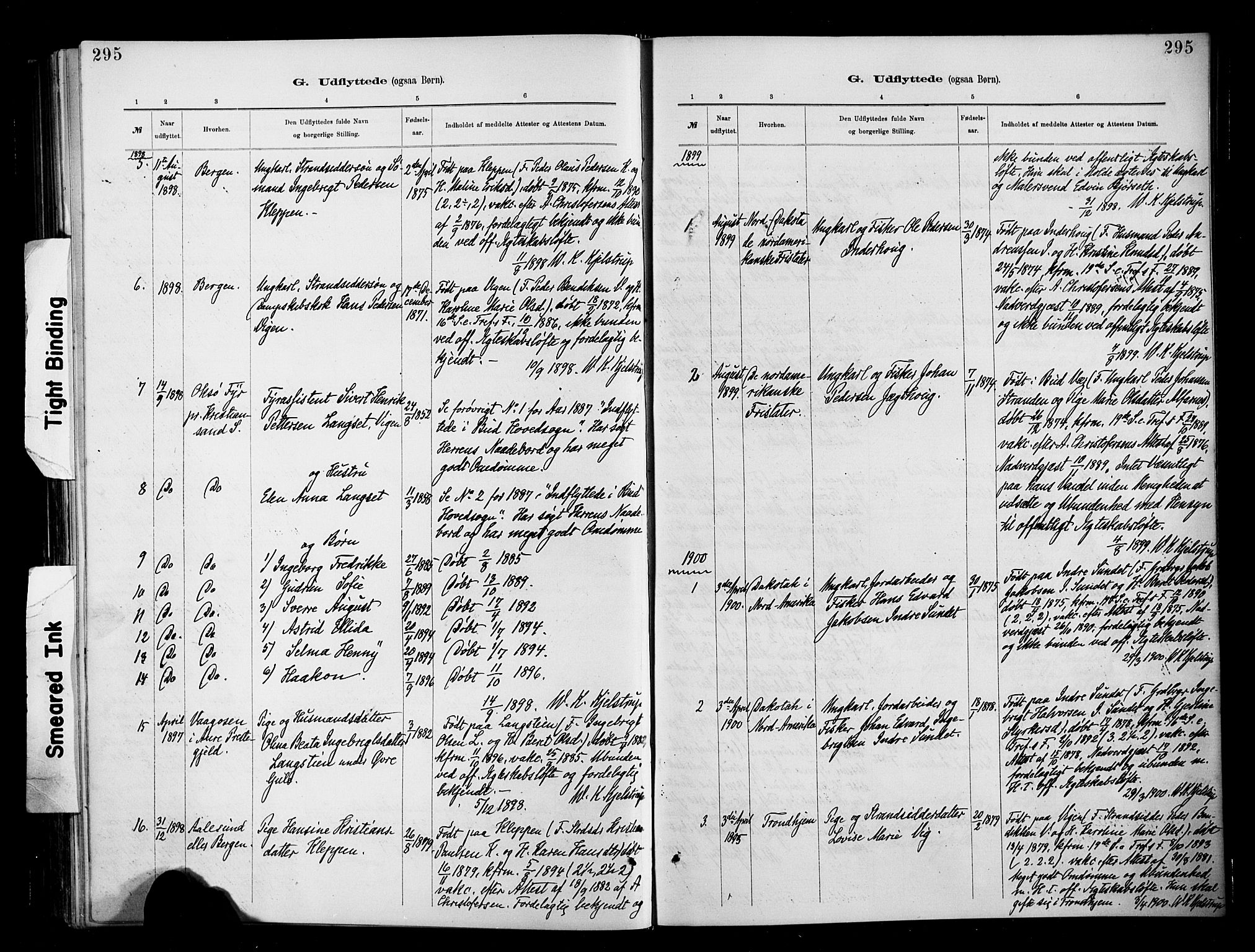 Ministerialprotokoller, klokkerbøker og fødselsregistre - Møre og Romsdal, SAT/A-1454/566/L0769: Parish register (official) no. 566A08, 1881-1903, p. 295