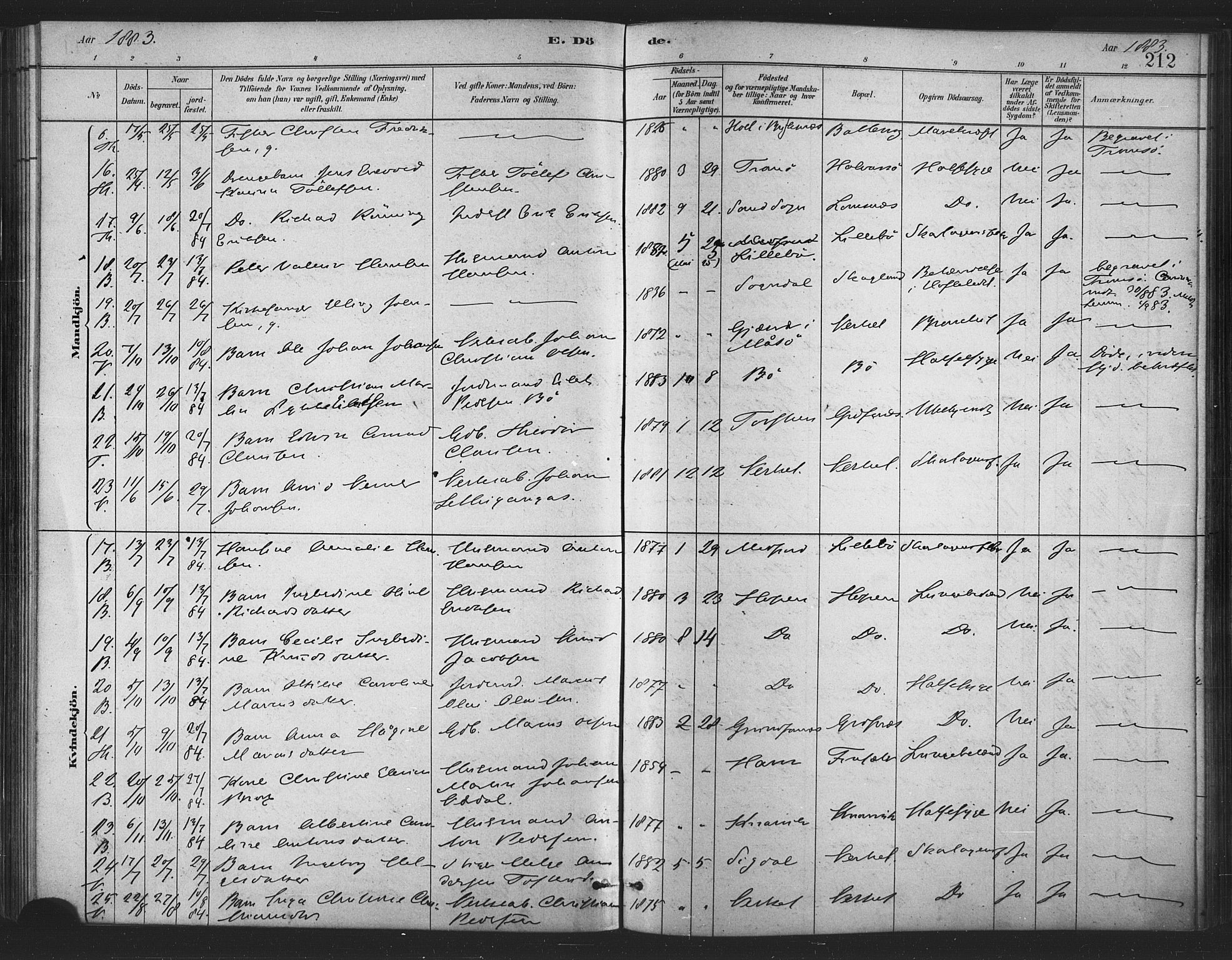Berg sokneprestkontor, AV/SATØ-S-1318/G/Ga/Gaa/L0004kirke: Parish register (official) no. 4, 1880-1894, p. 212