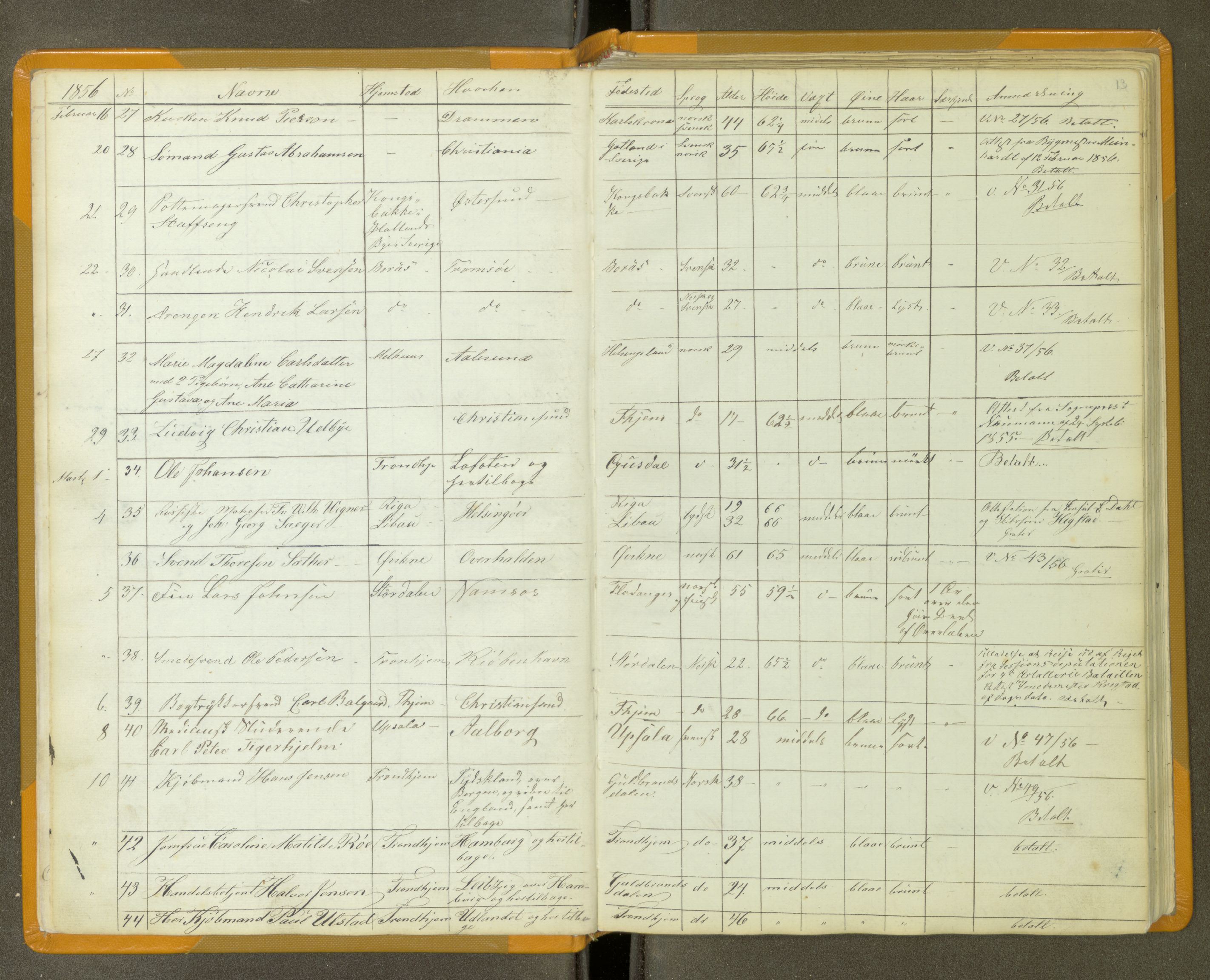 Trondheim politikammer, AV/SAT-A-1887/1/30/L0011: Passprotokoll. Utstedte pass 1855-1890. Utstede og forviste handelsbrev 1857-1860, 1855-1890, p. 12b-13a