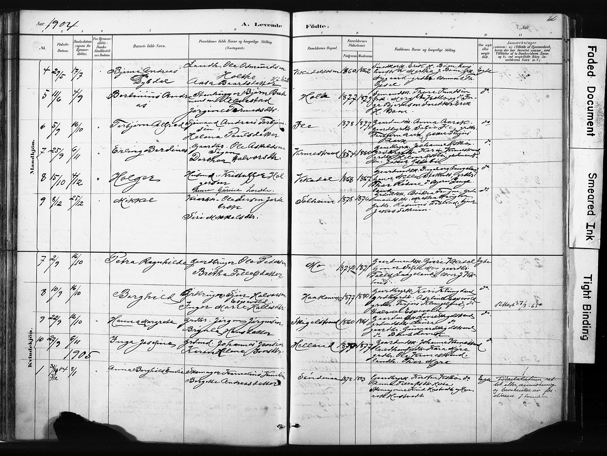 Vikedal sokneprestkontor, AV/SAST-A-101840/01/IV: Parish register (official) no. A 10, 1884-1907, p. 66