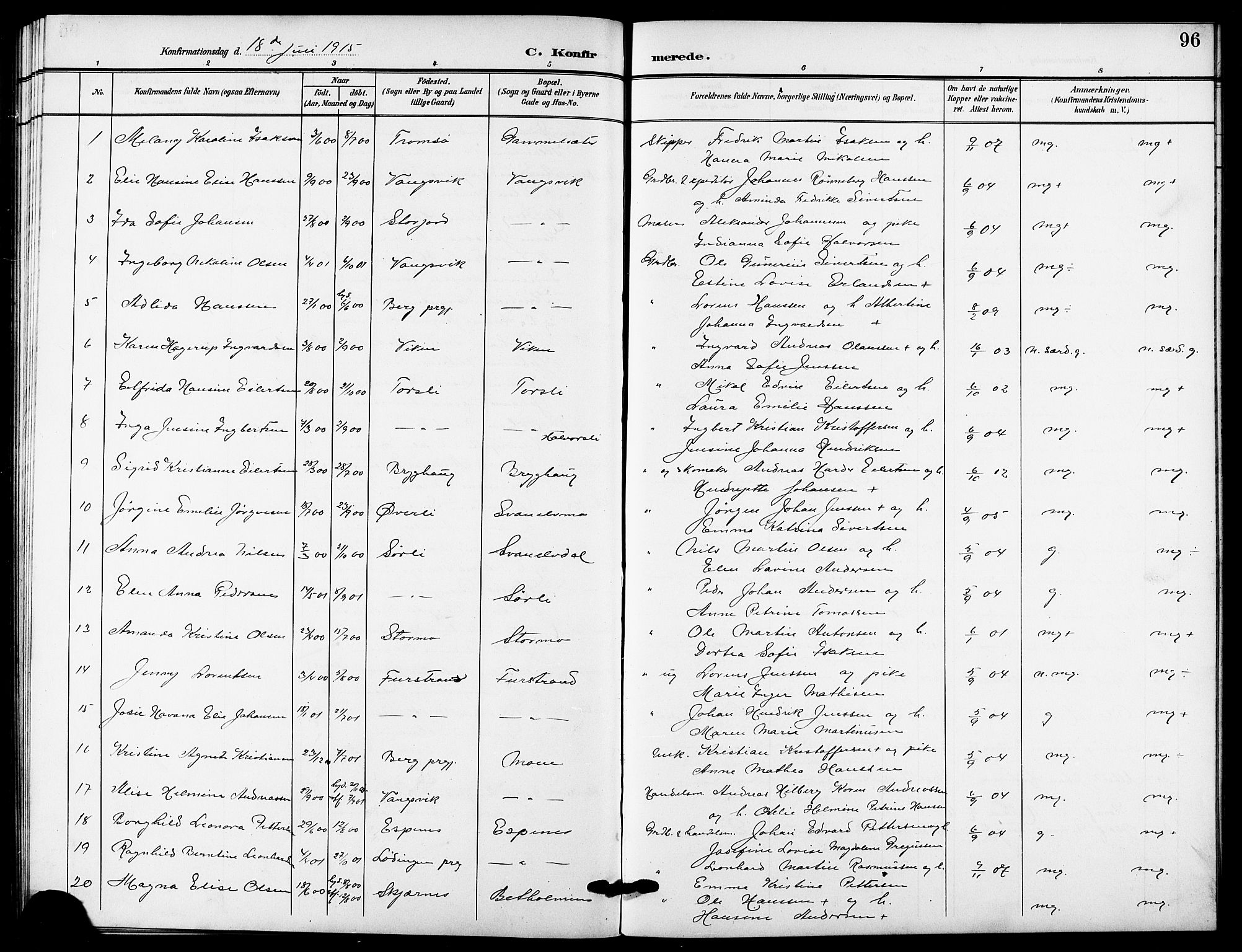 Tranøy sokneprestkontor, AV/SATØ-S-1313/I/Ia/Iab/L0005klokker: Parish register (copy) no. 5, 1902-1919, p. 96