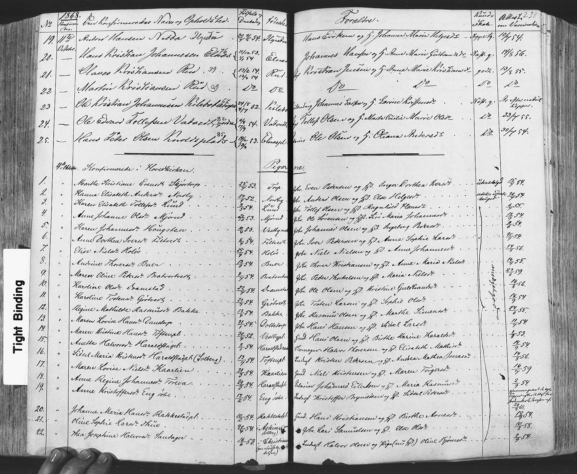 Rakkestad prestekontor Kirkebøker, AV/SAO-A-2008/F/Fa/L0011: Parish register (official) no. I 11, 1862-1877, p. 238